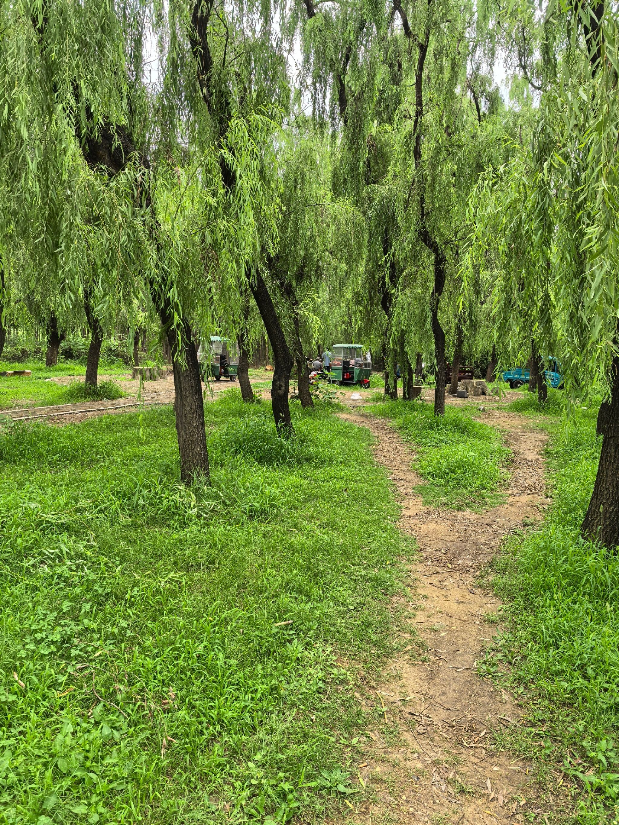 沂河公园旅行图片 1