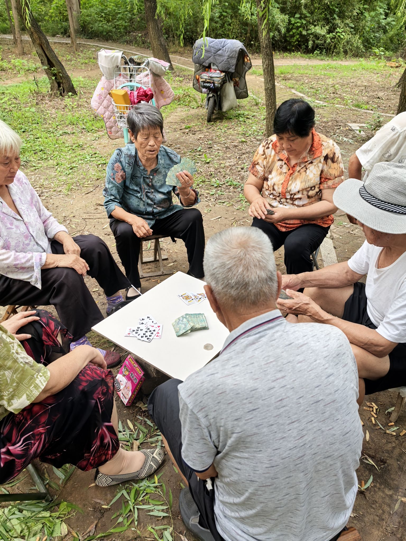 沂河公园旅行图片 2
