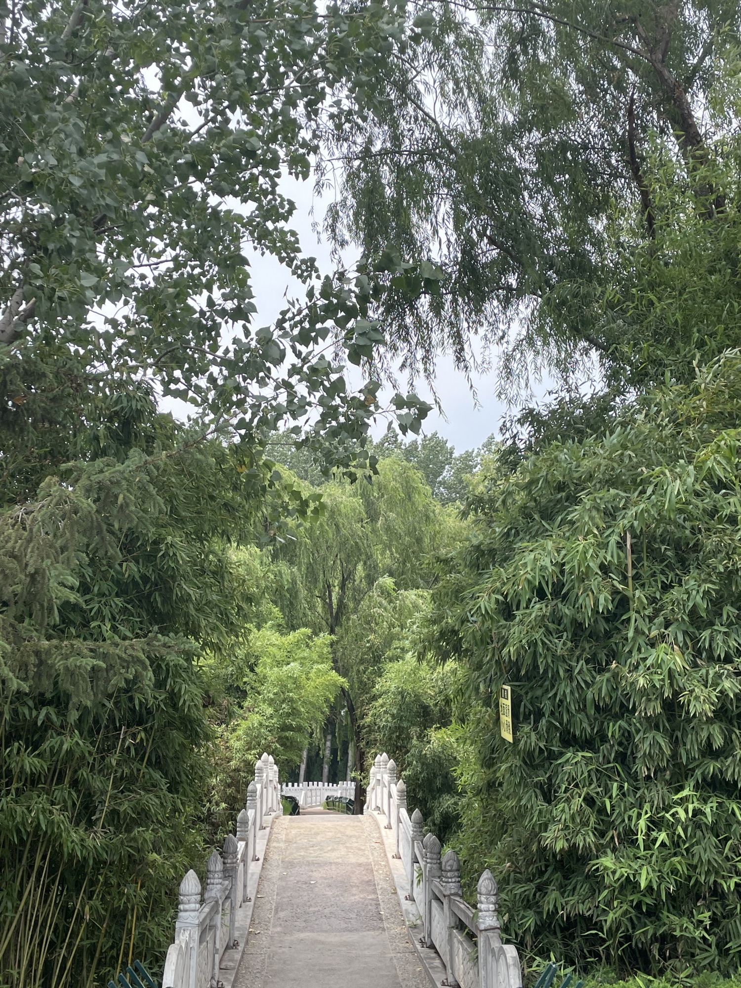 沂河公园旅行图片 2