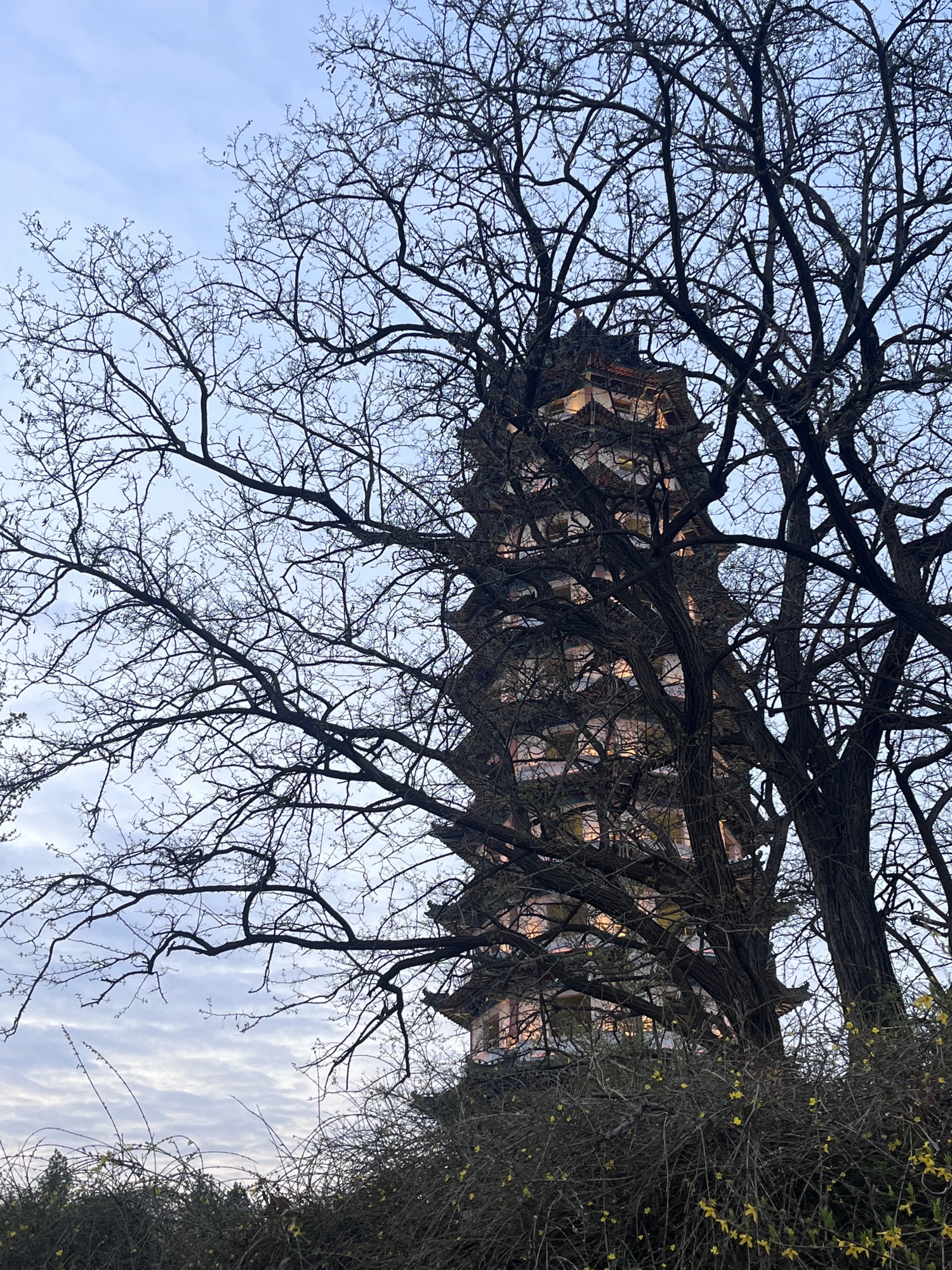 东皋公园旅行图片 3