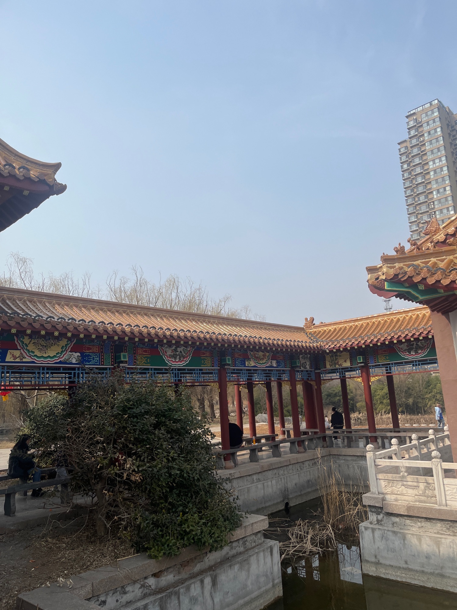 东皋公园旅行图片 2