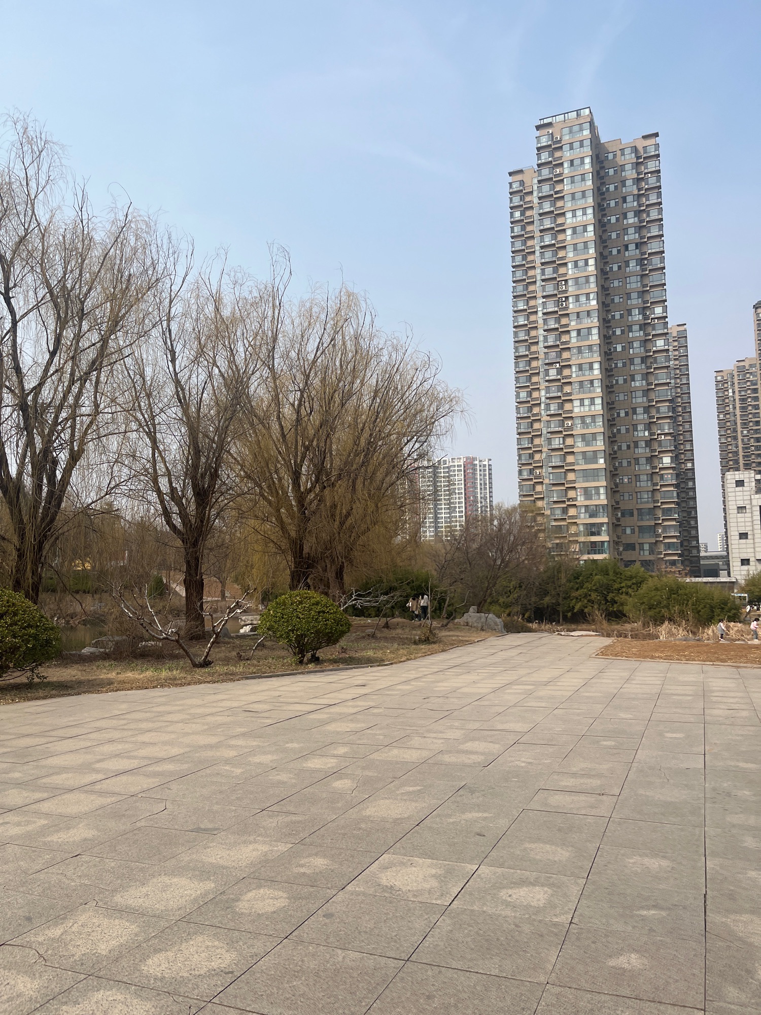 东皋公园旅行图片 3