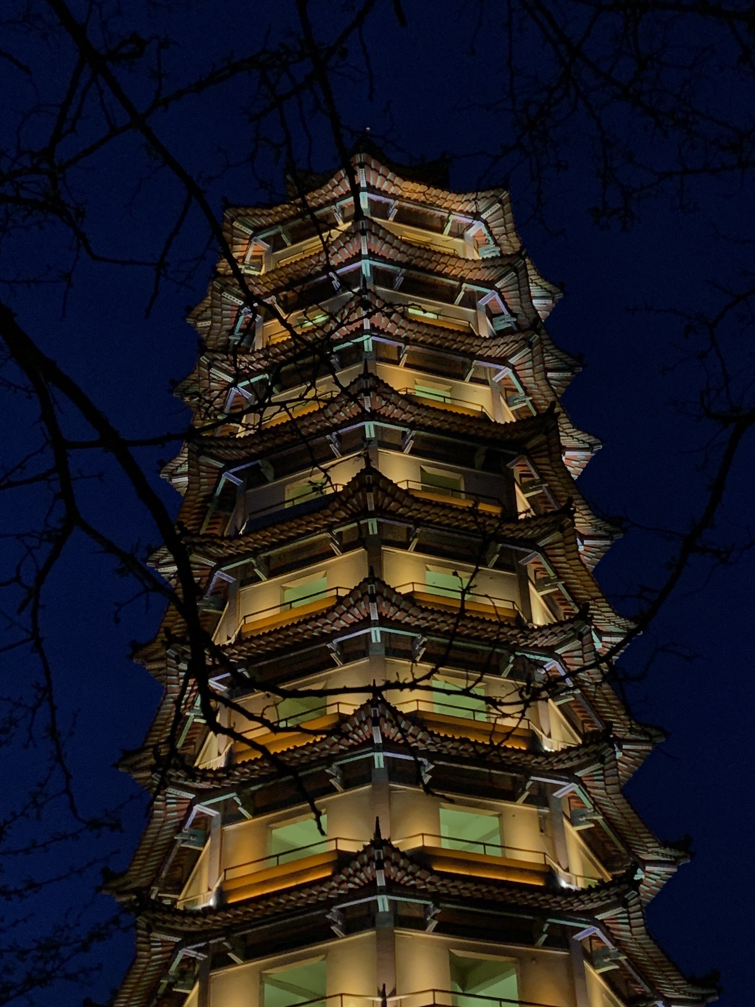 东皋公园旅行图片 2