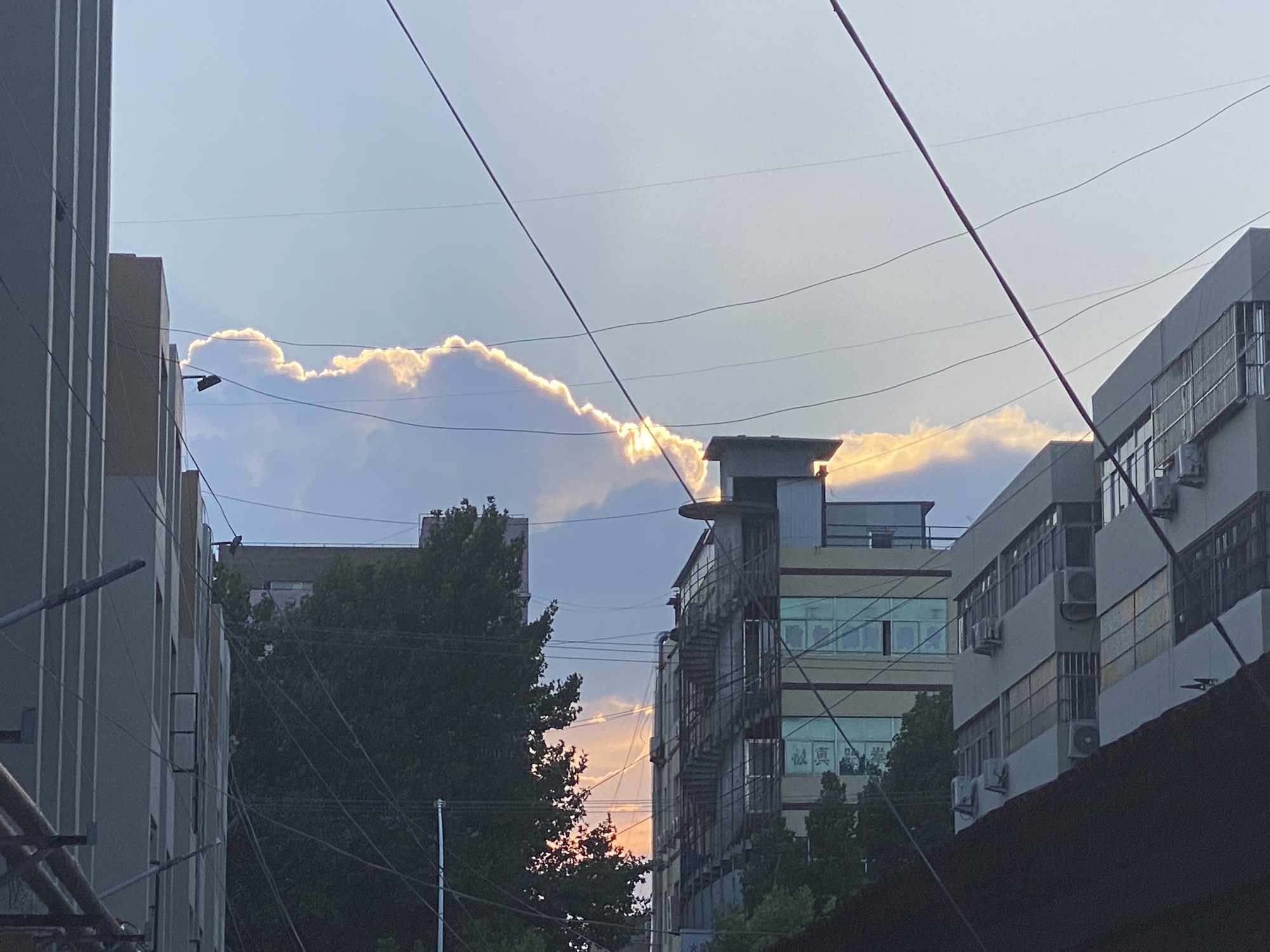 润民广场旅行图片 3