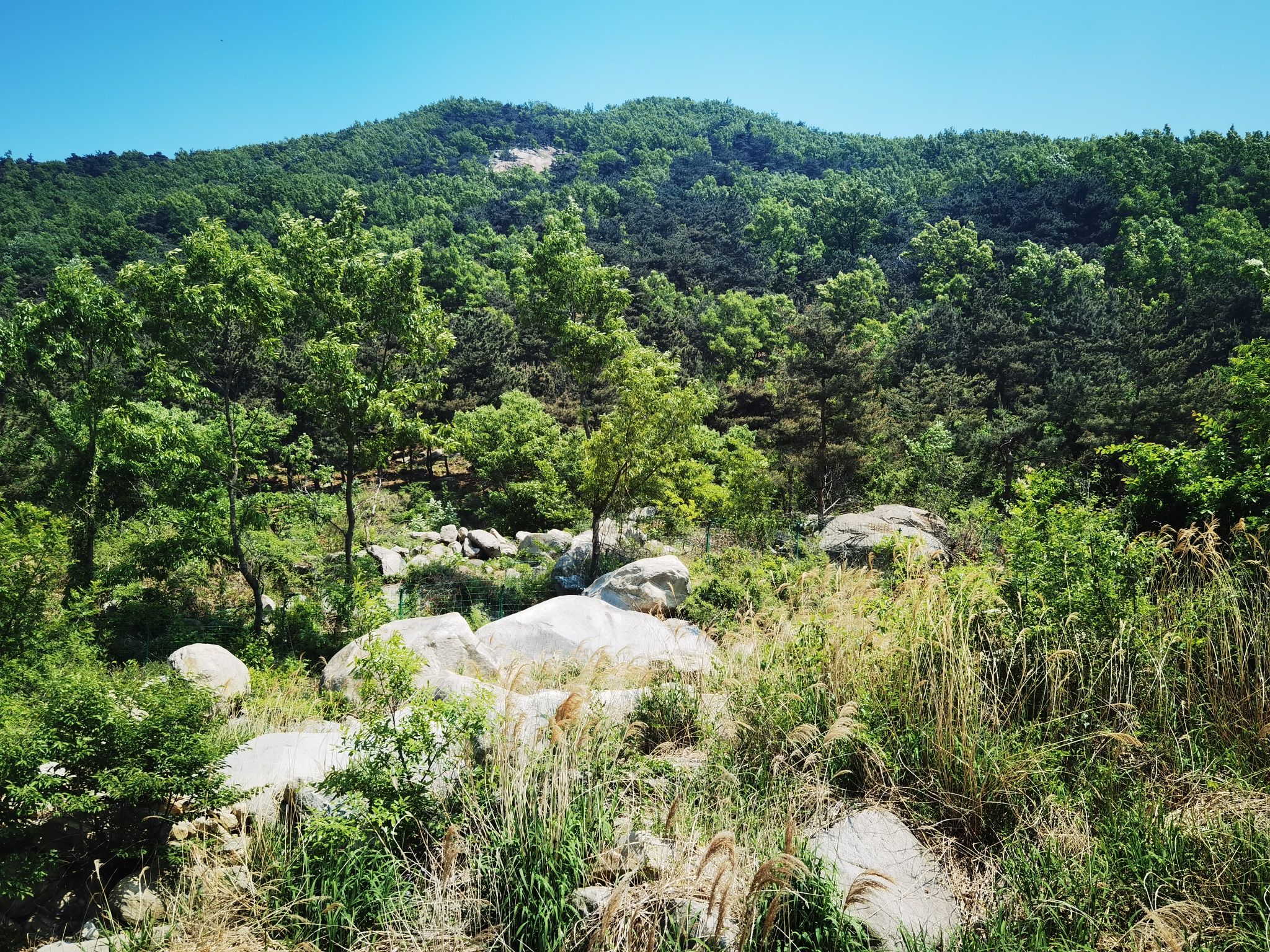 百花峪景区旅行图片 2