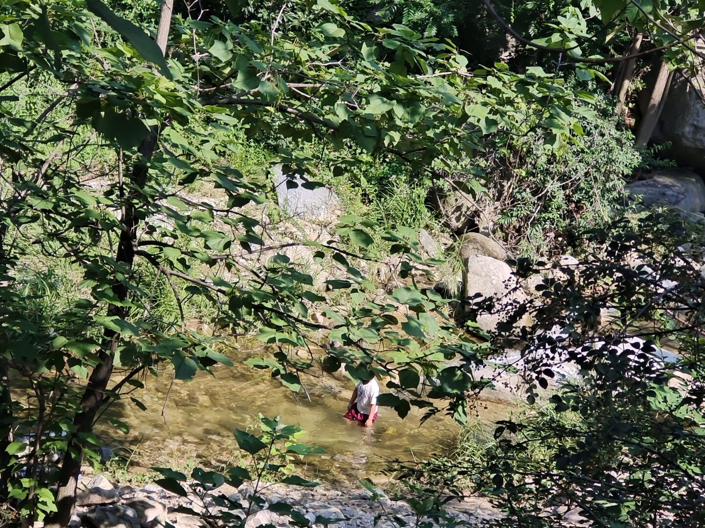 百花峪景区旅行图片 3