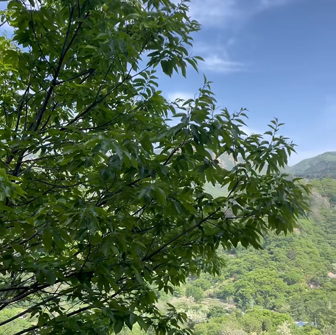 百花峪景区旅行图片 2