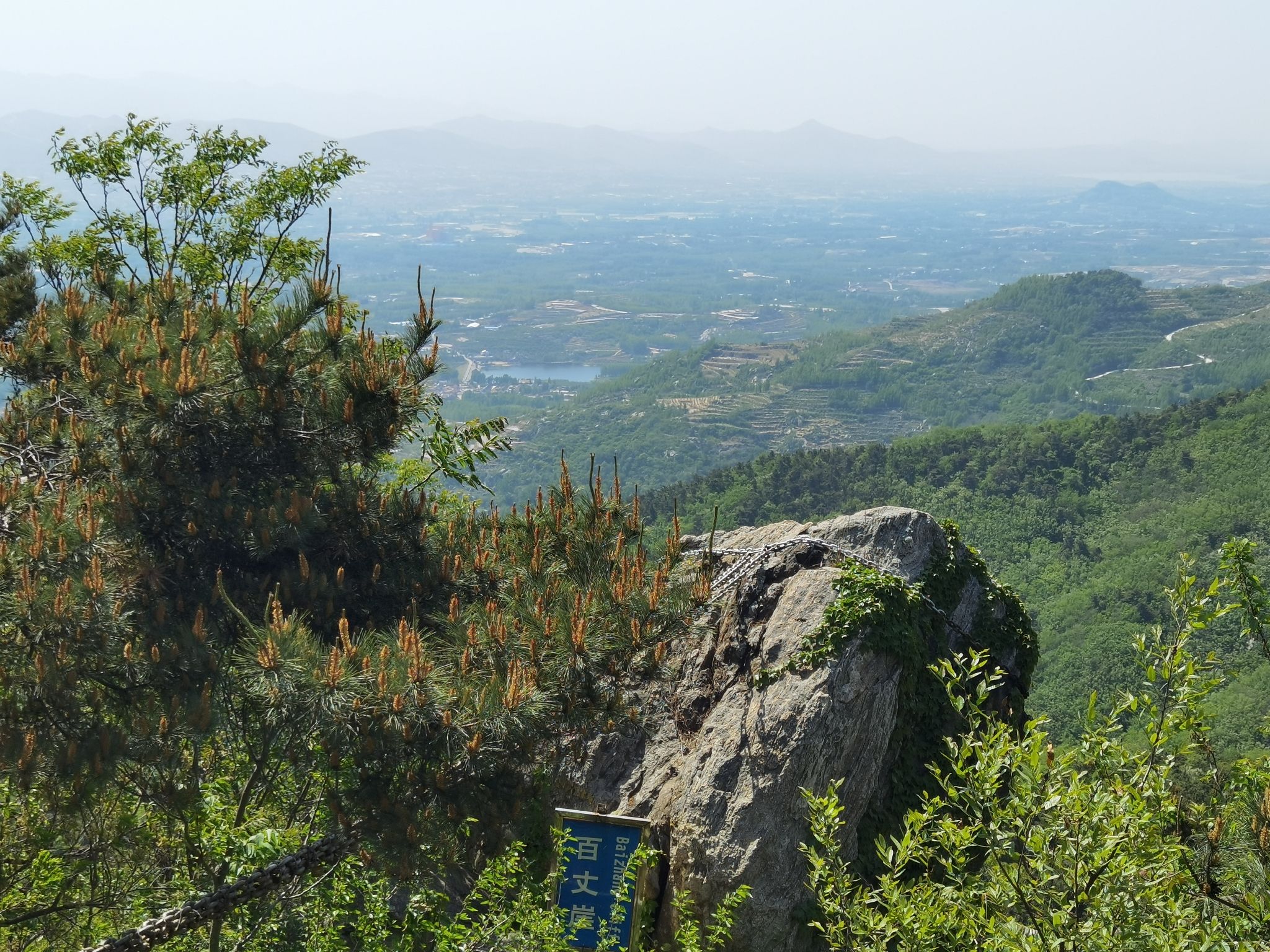 孟良崮国家森林公园旅行图片 3