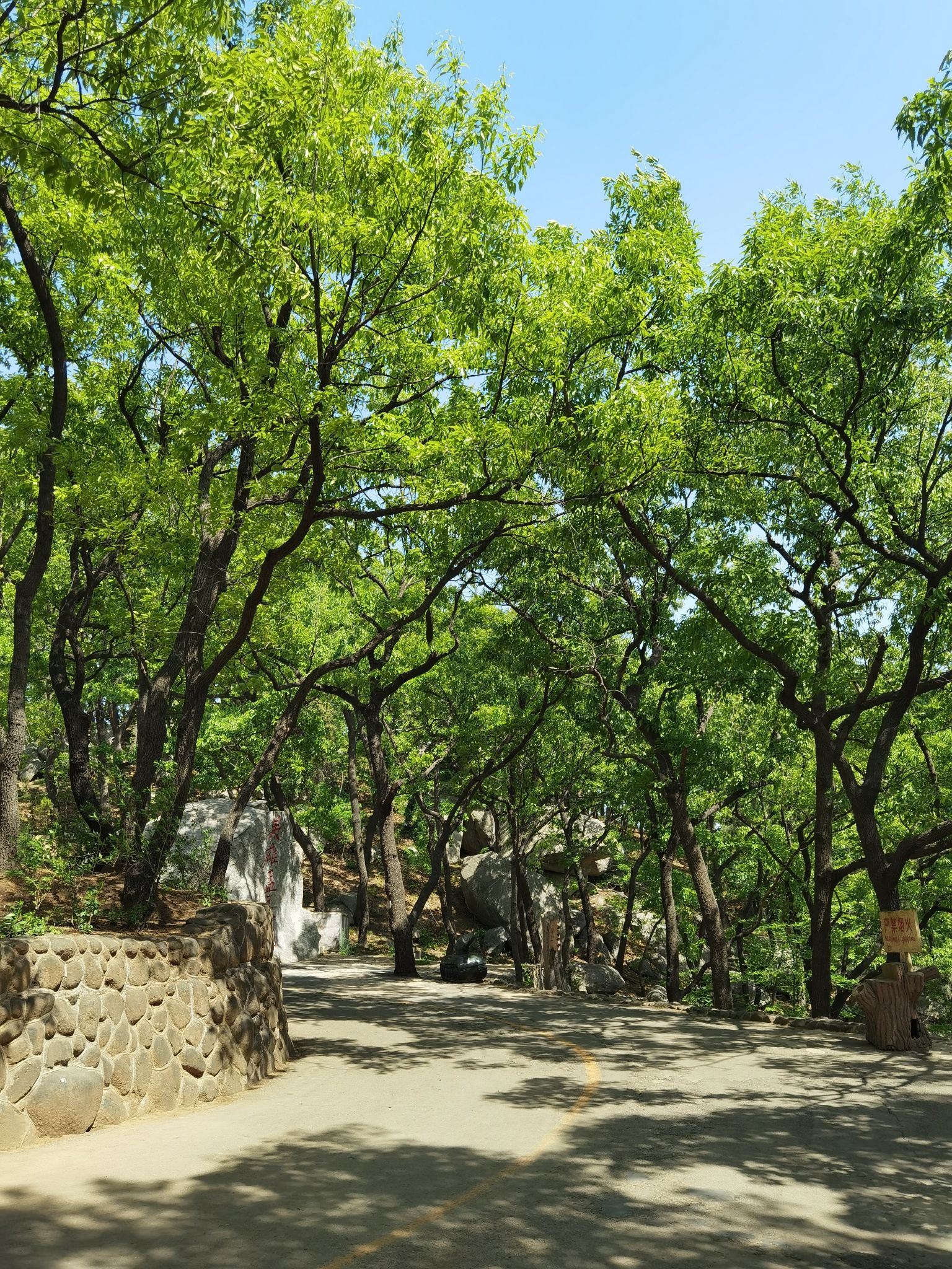 孟良崮国家森林公园旅行图片 1
