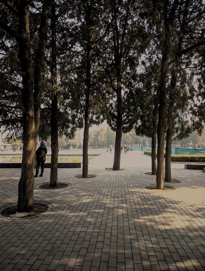 沂蒙山世界地质公园孟良崮旅游区旅行图片 3
