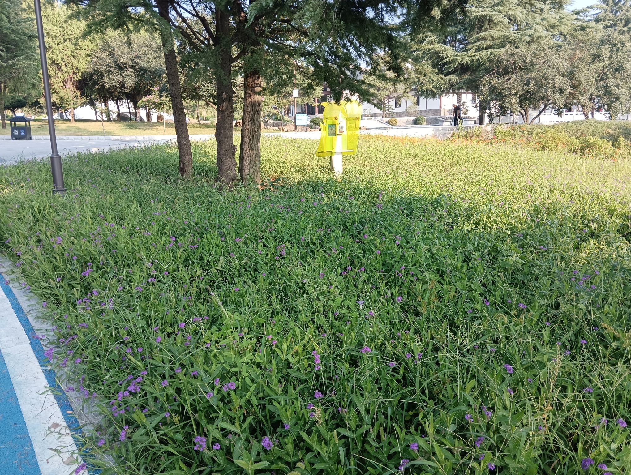 诸葛亮文化旅游区旅行图片 2