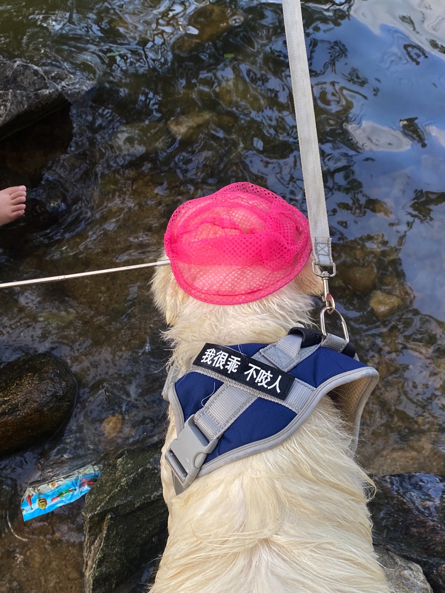 大洼景区旅行图片 3