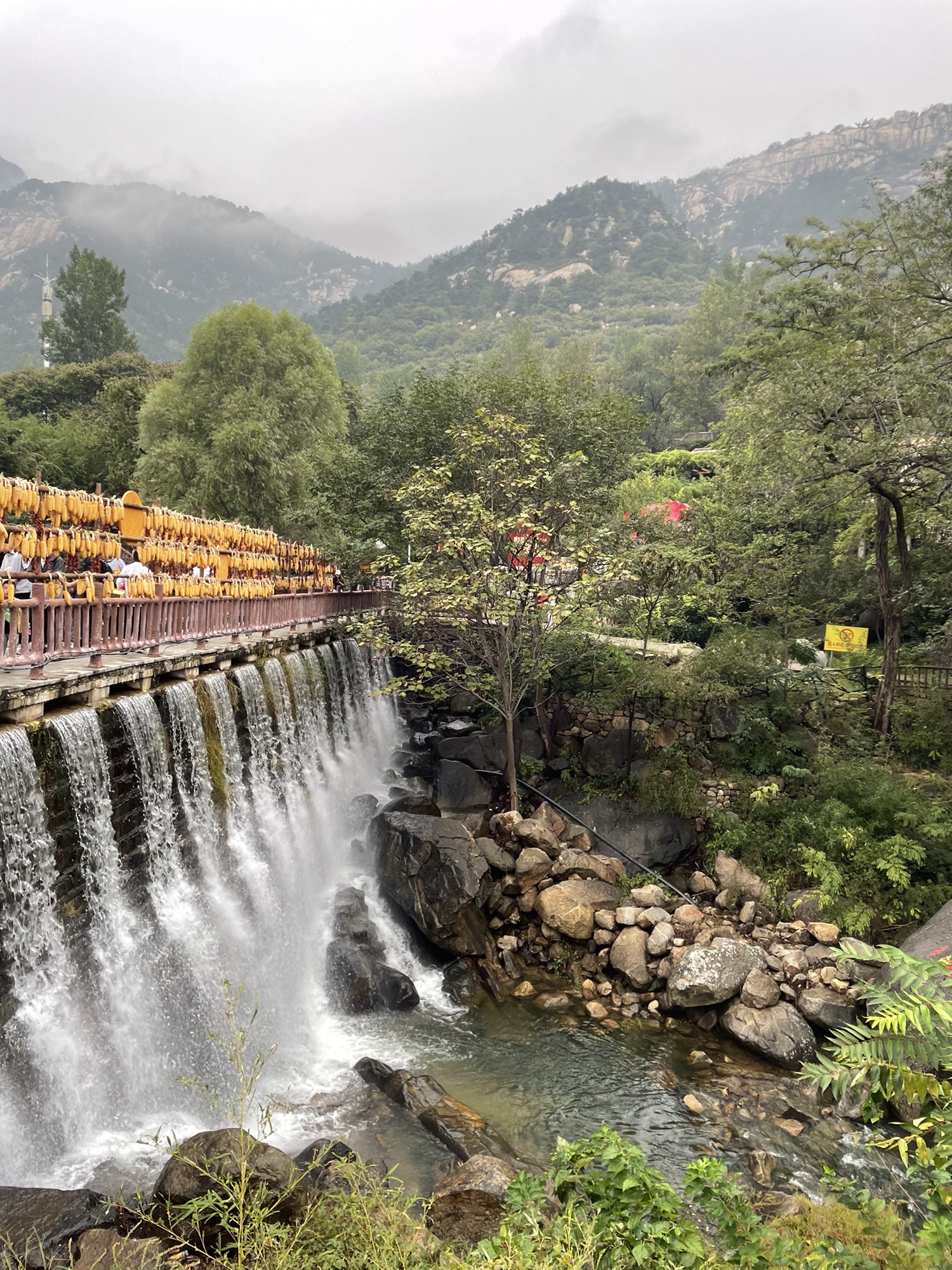 山东文旅·天蒙山旅游区旅行图片 3