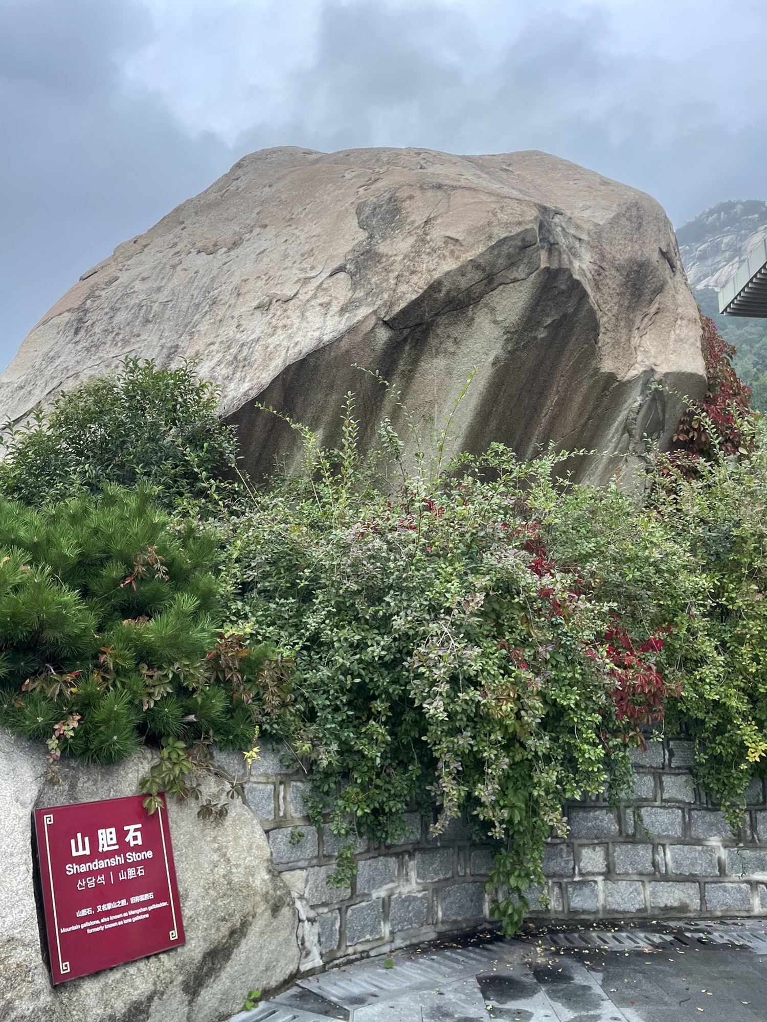 山东文旅·天蒙山旅游区旅行图片 2
