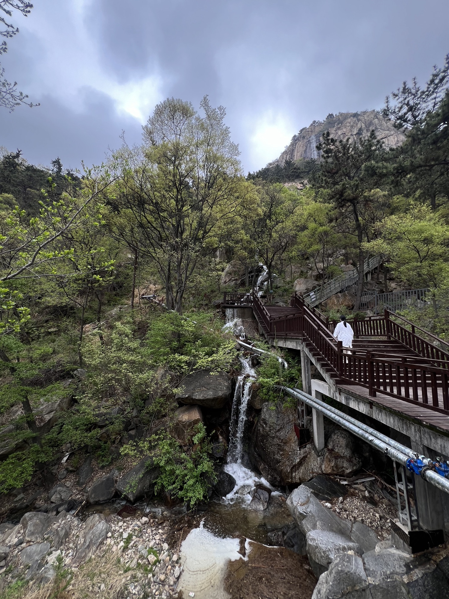 山东文旅·天蒙山旅游区旅行图片 3