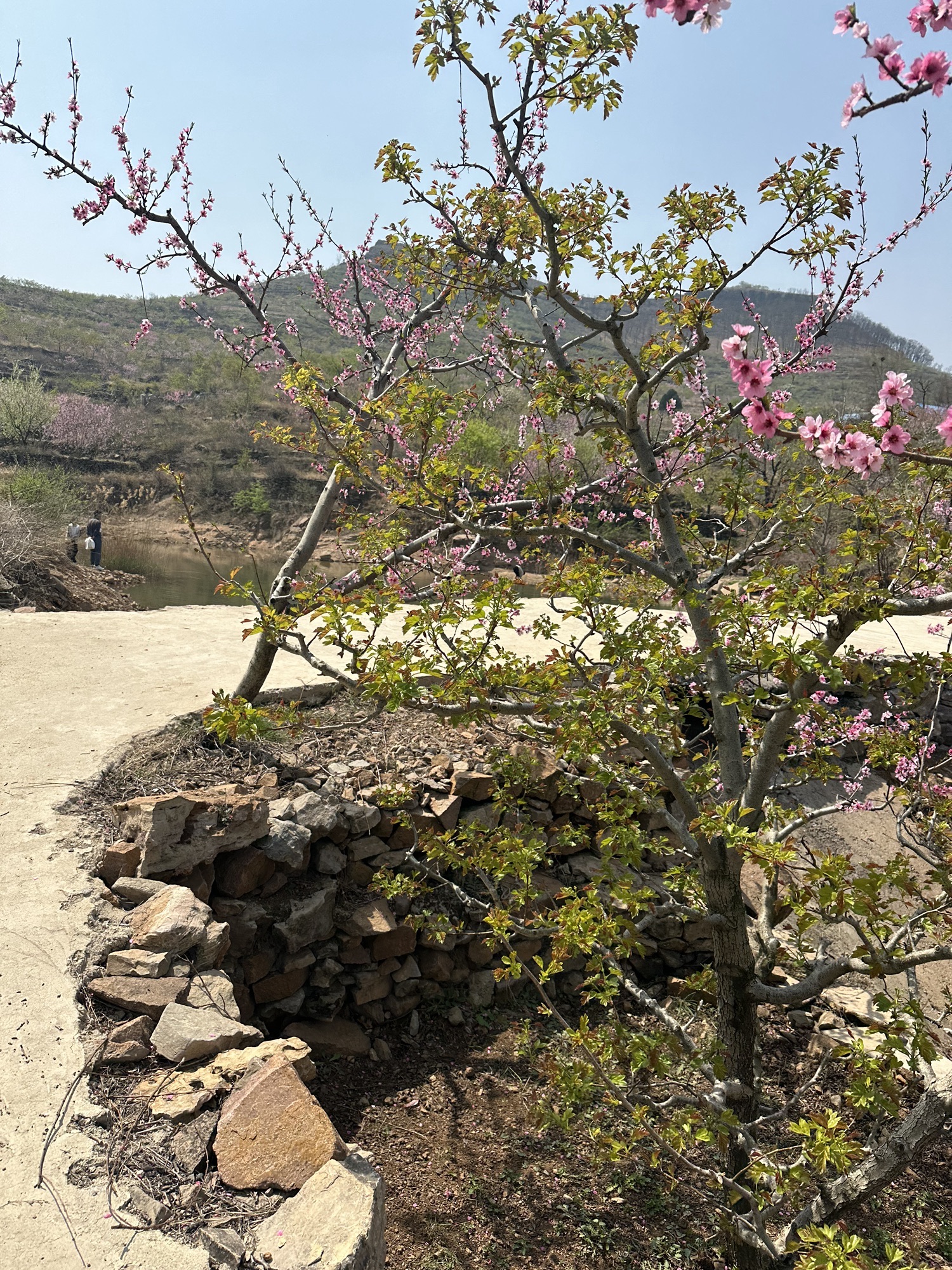 九间棚旅游区旅行图片 1