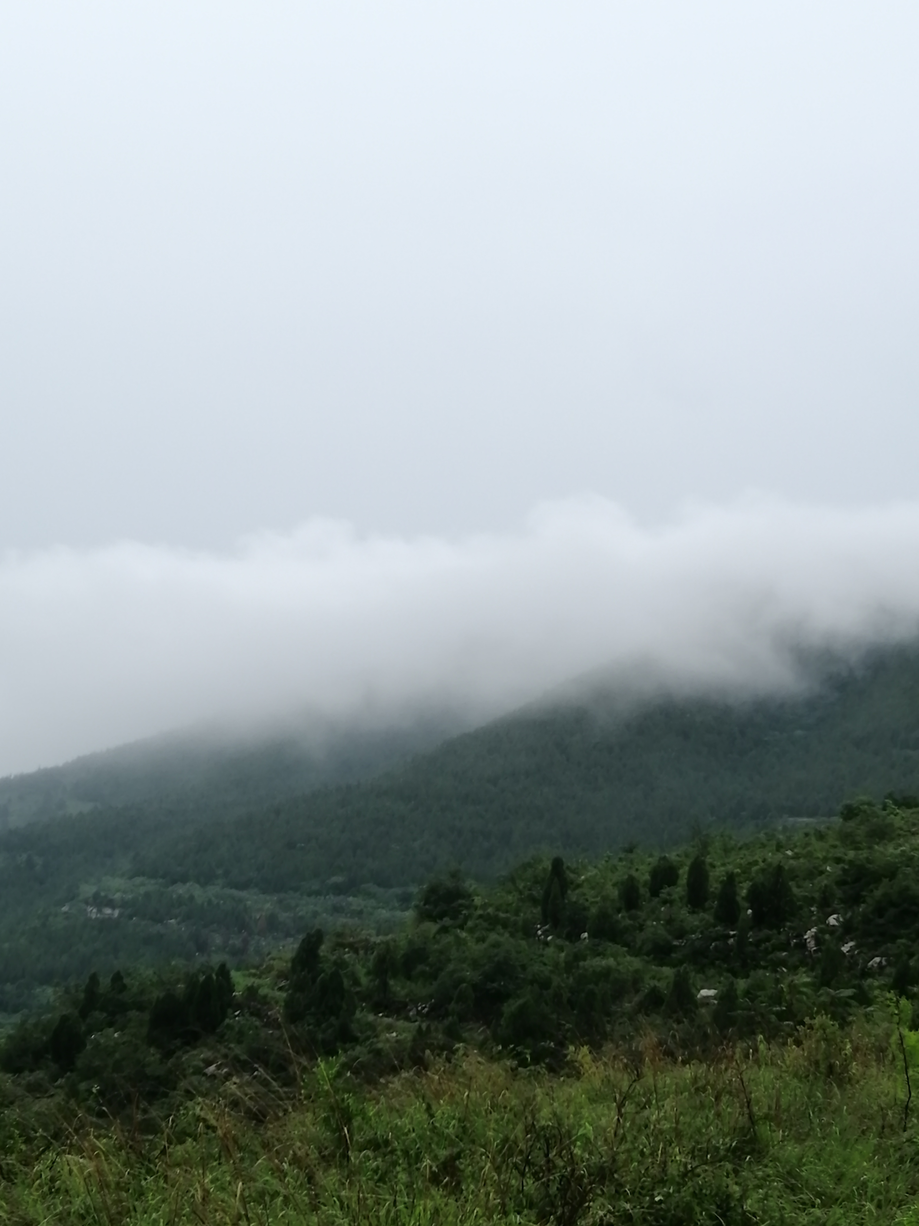 东流战斗遗址