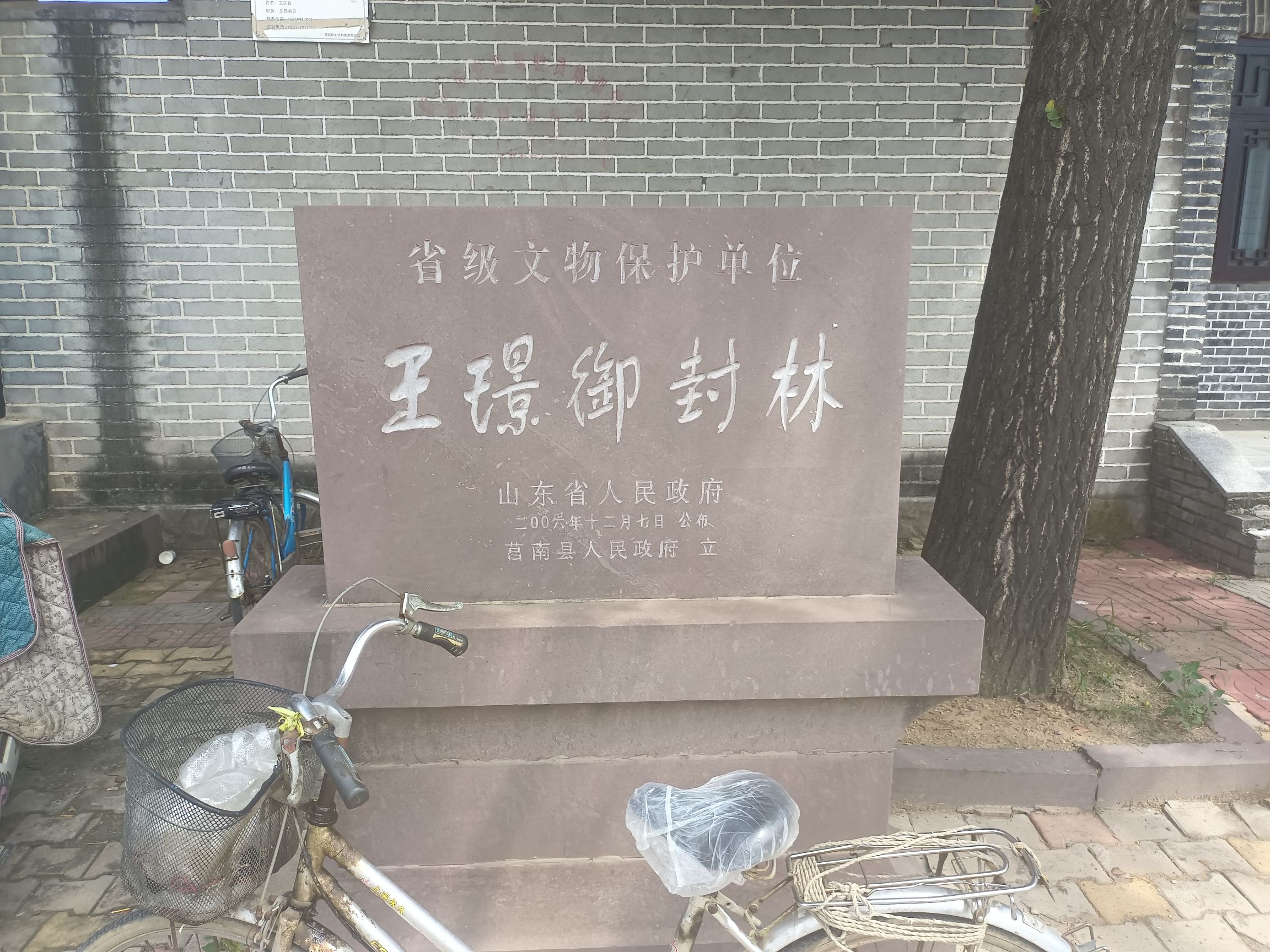 王璟御封林旅行图片