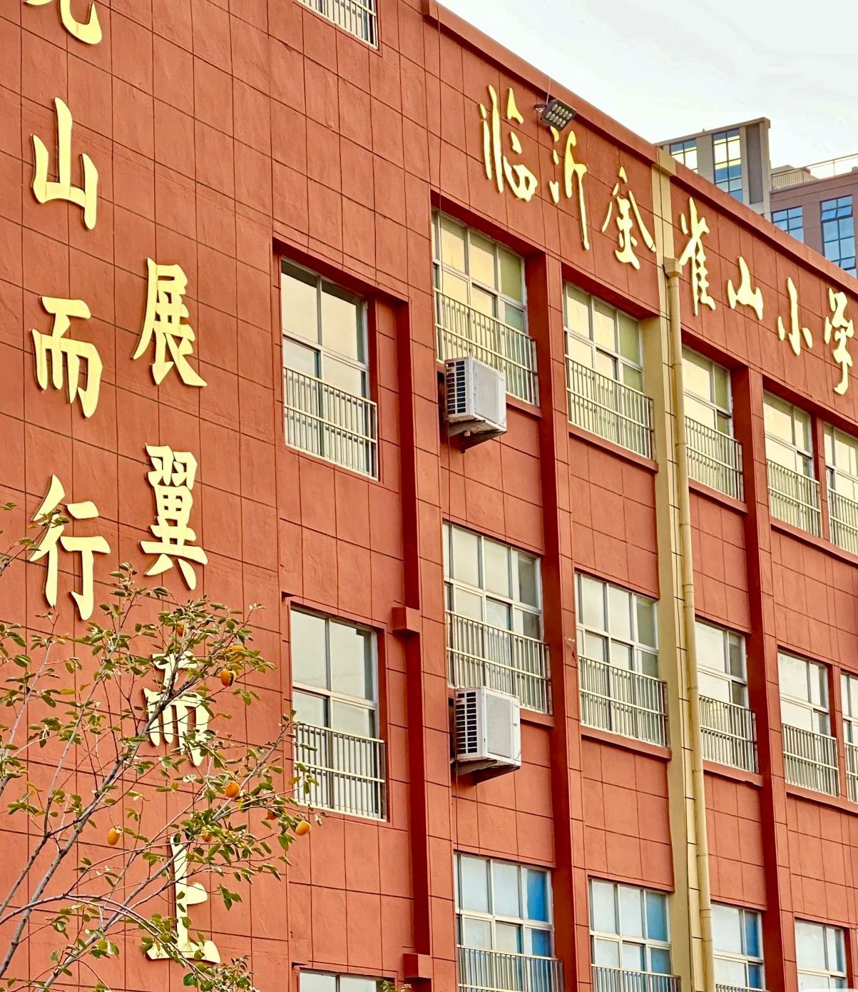临沂金雀山小学