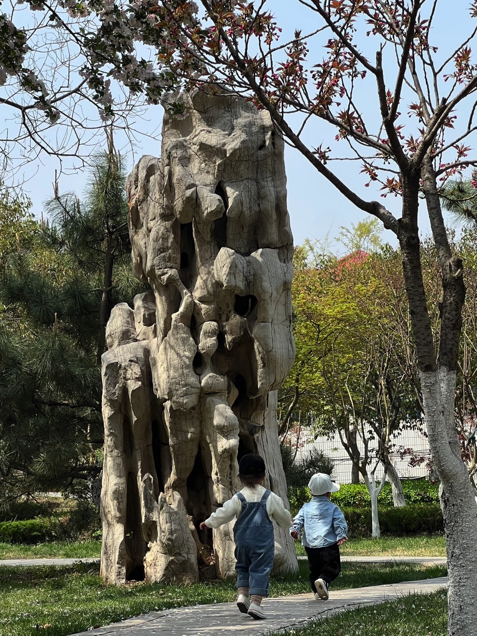 临沂人民公园旅行图片 3