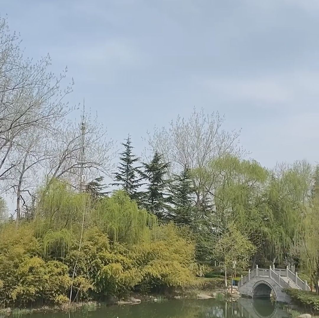 临沂人民公园旅行图片 2