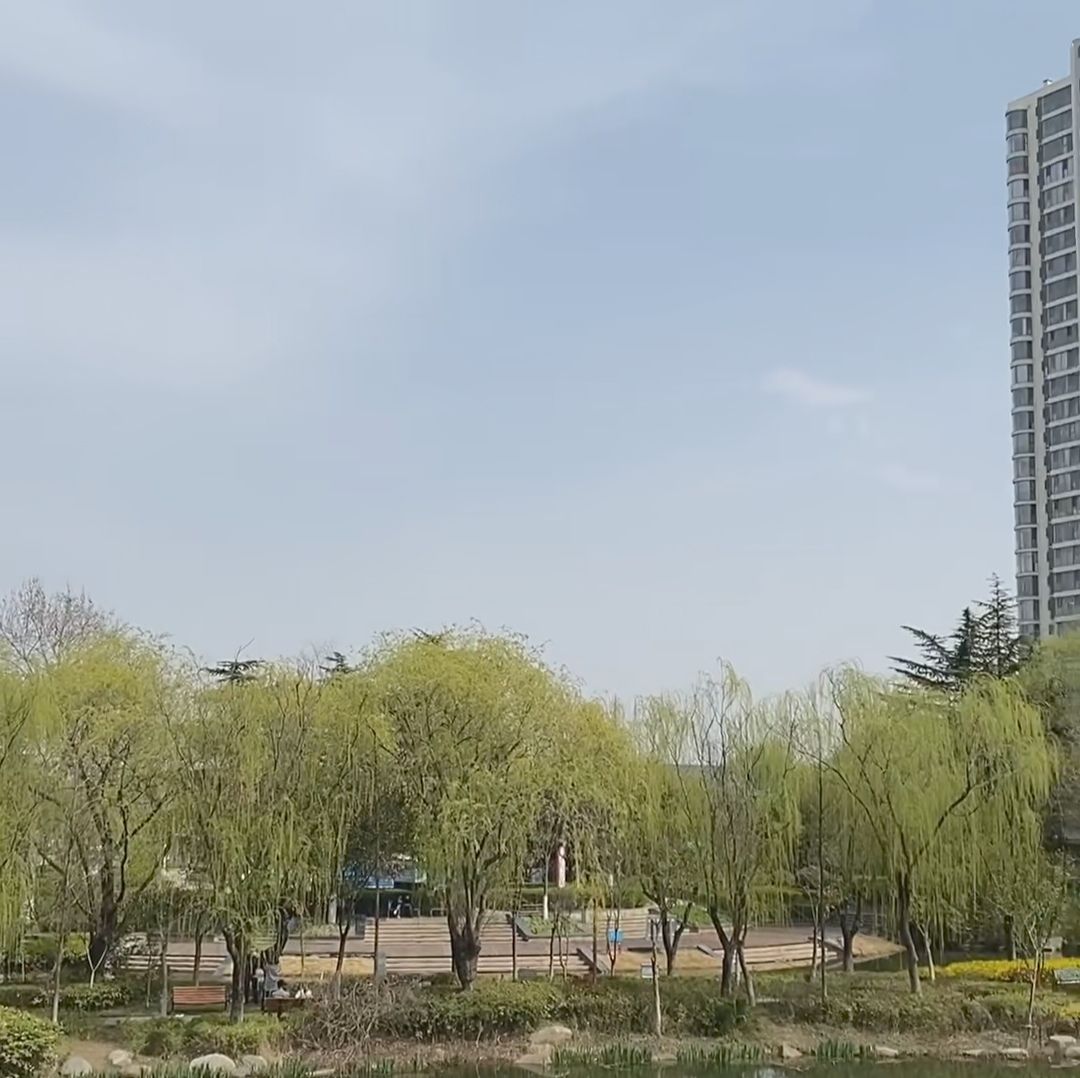 临沂人民公园旅行图片 3
