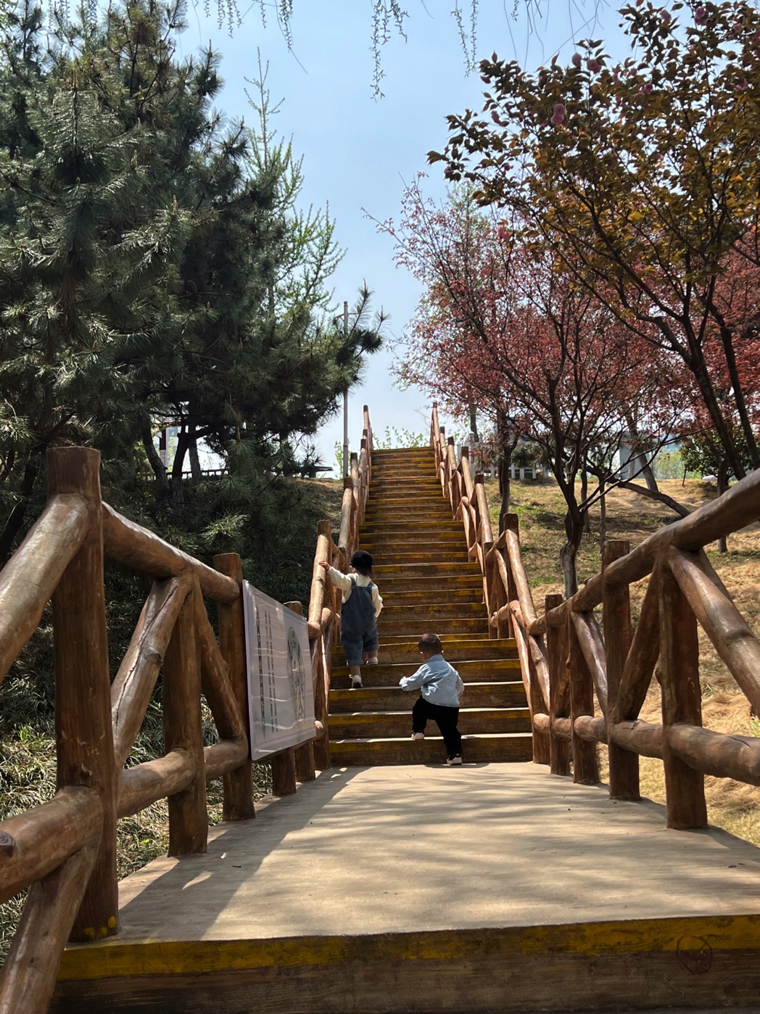 临沂人民公园旅行图片 2