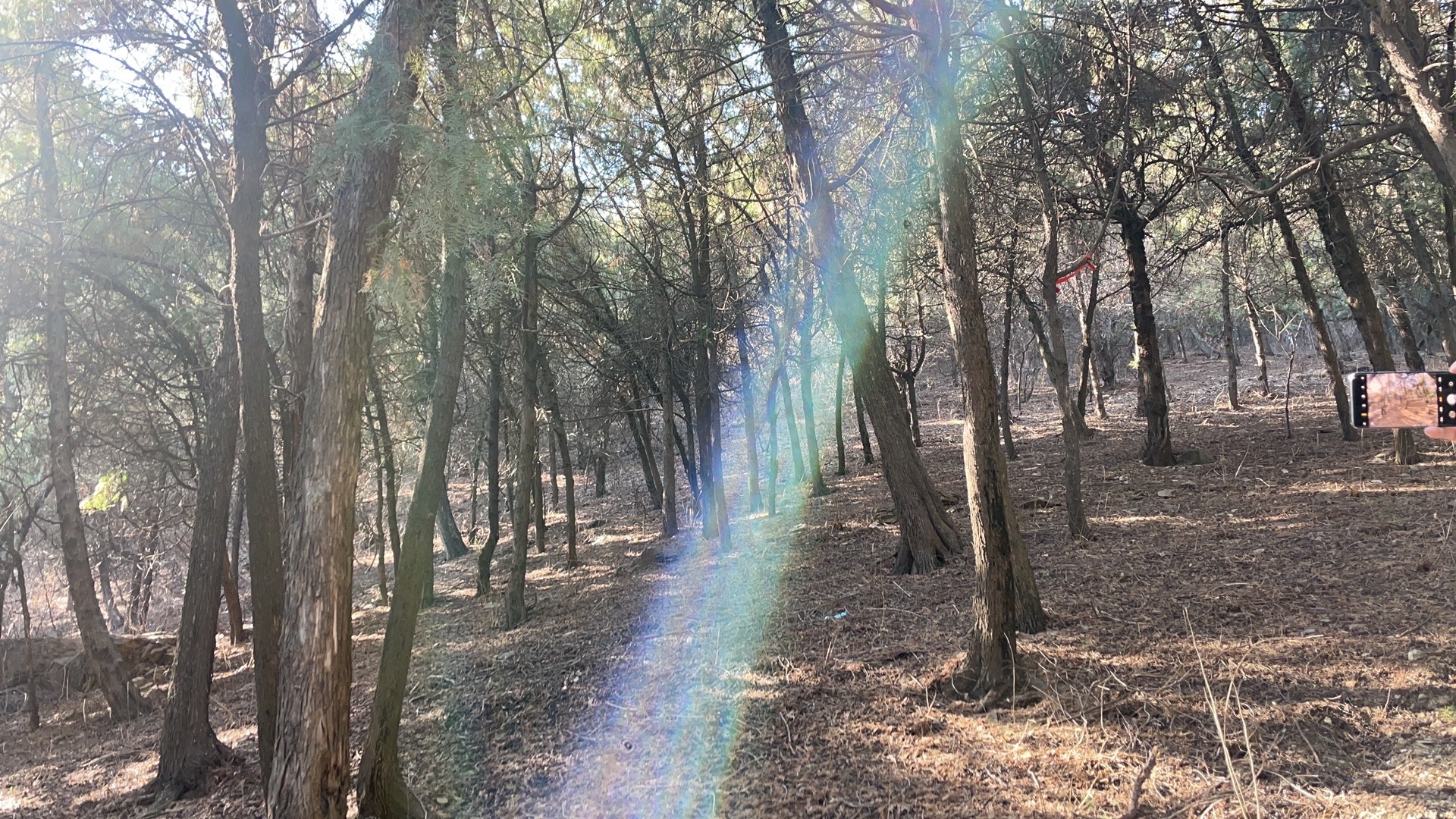 文峰山风景区旅行图片 2