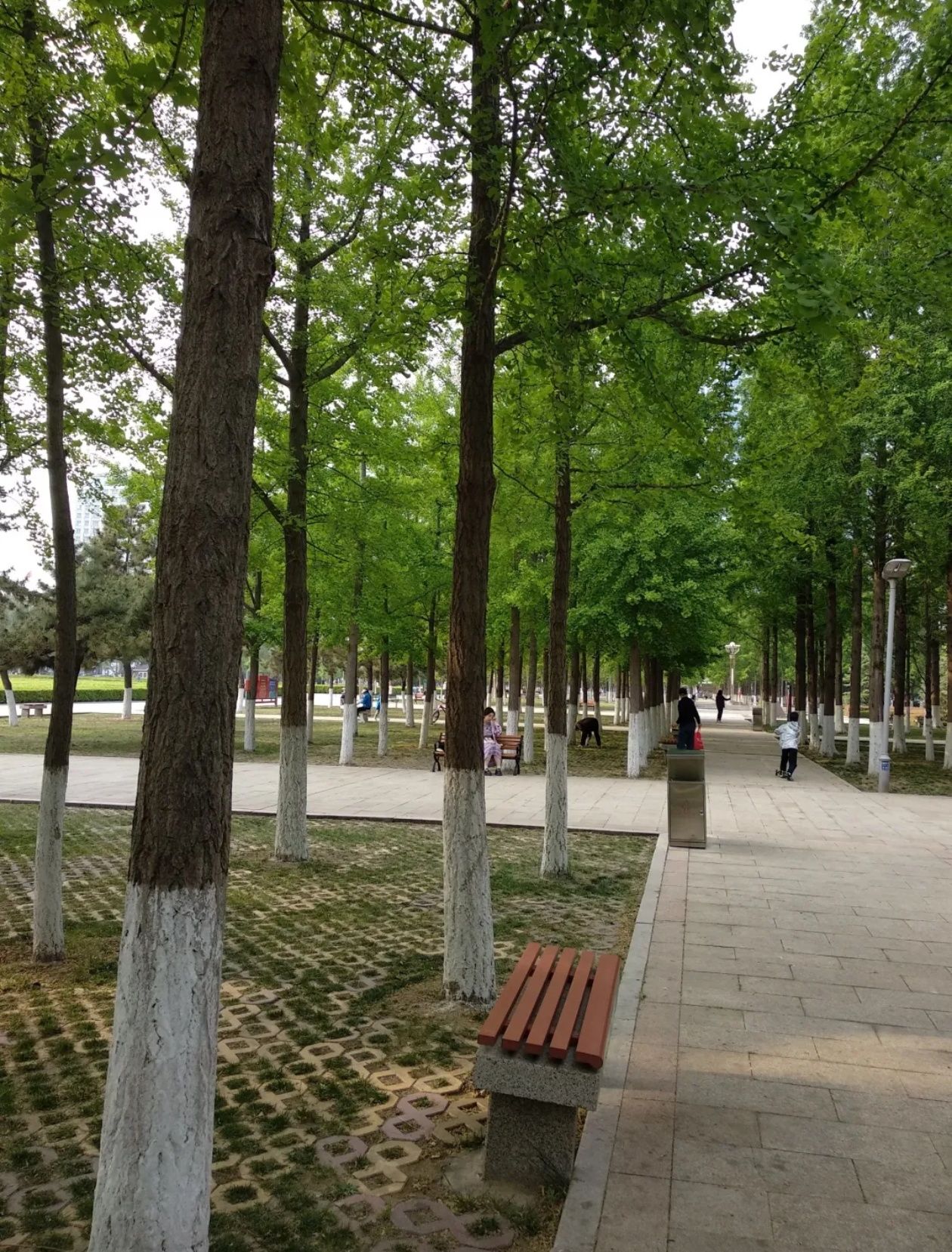 人民广场旅行图片 1