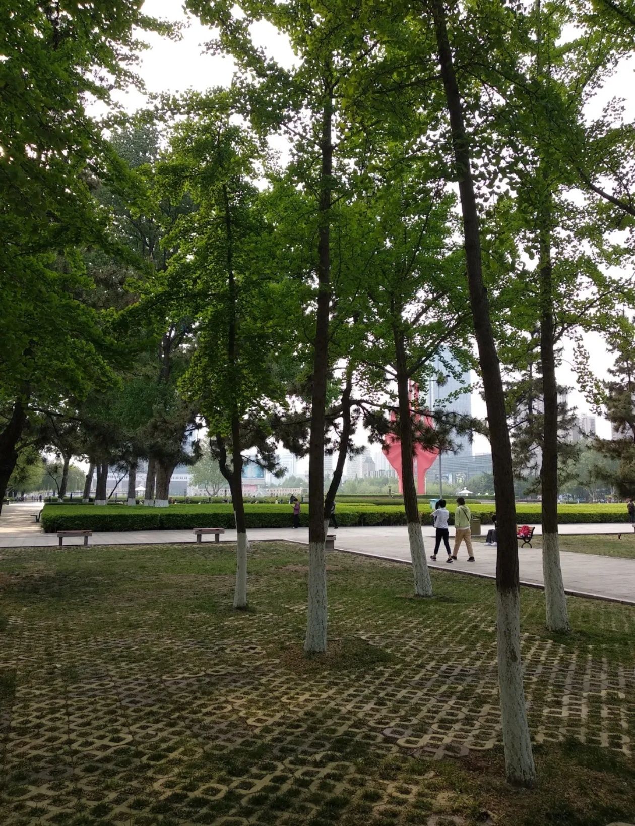 人民广场旅行图片 3