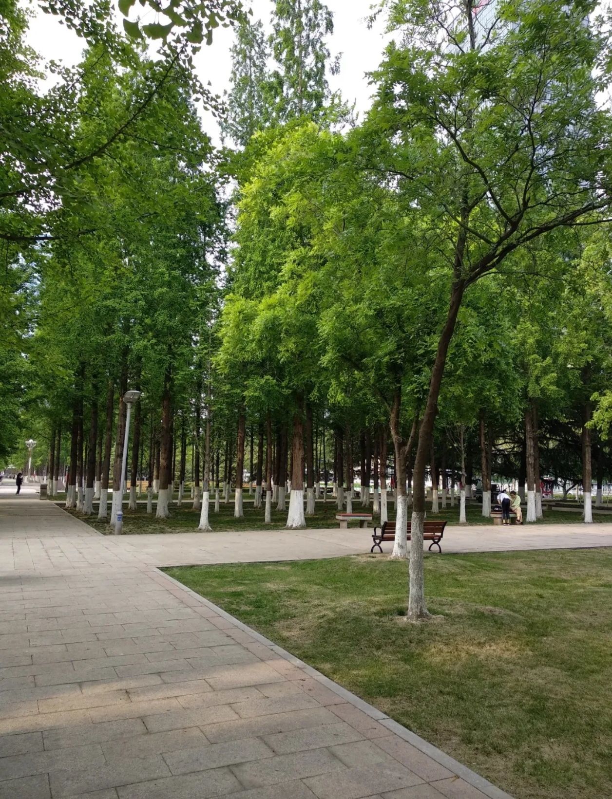 人民广场旅行图片 2