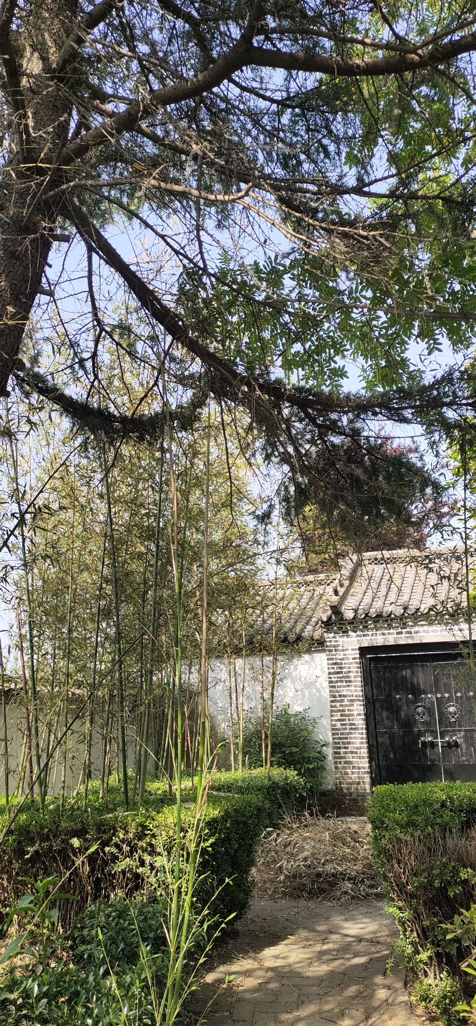 新华社山东分社诞生地旅行图片 2