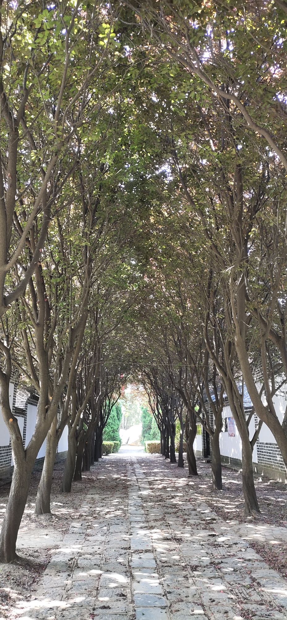 新华社山东分社诞生地旅行图片 1