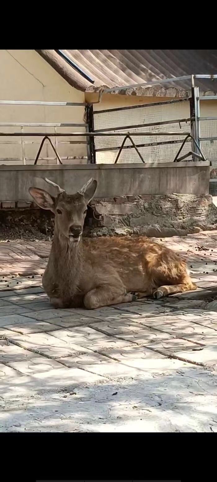 罗庄公园旅行图片 2