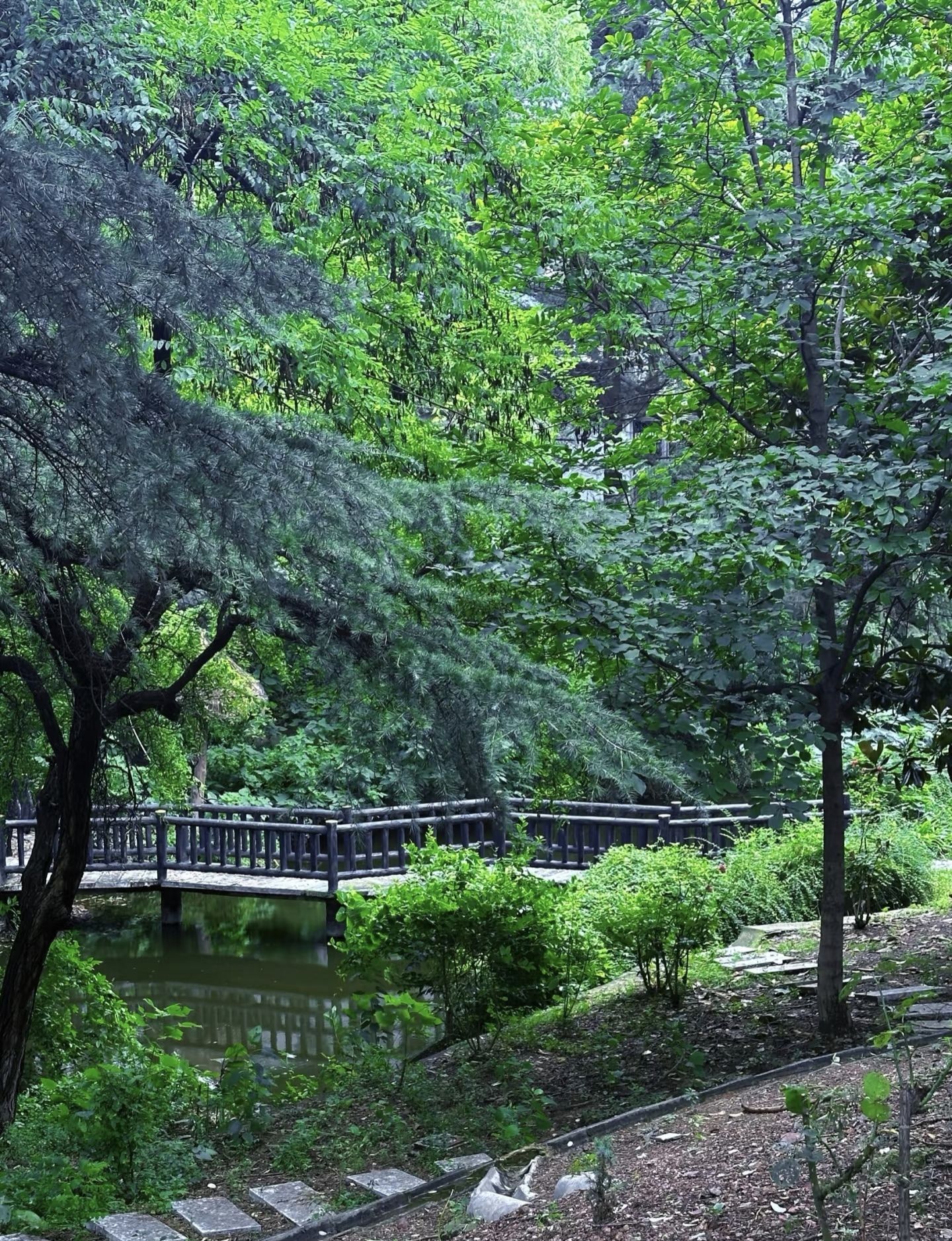 罗庄公园旅行图片 1