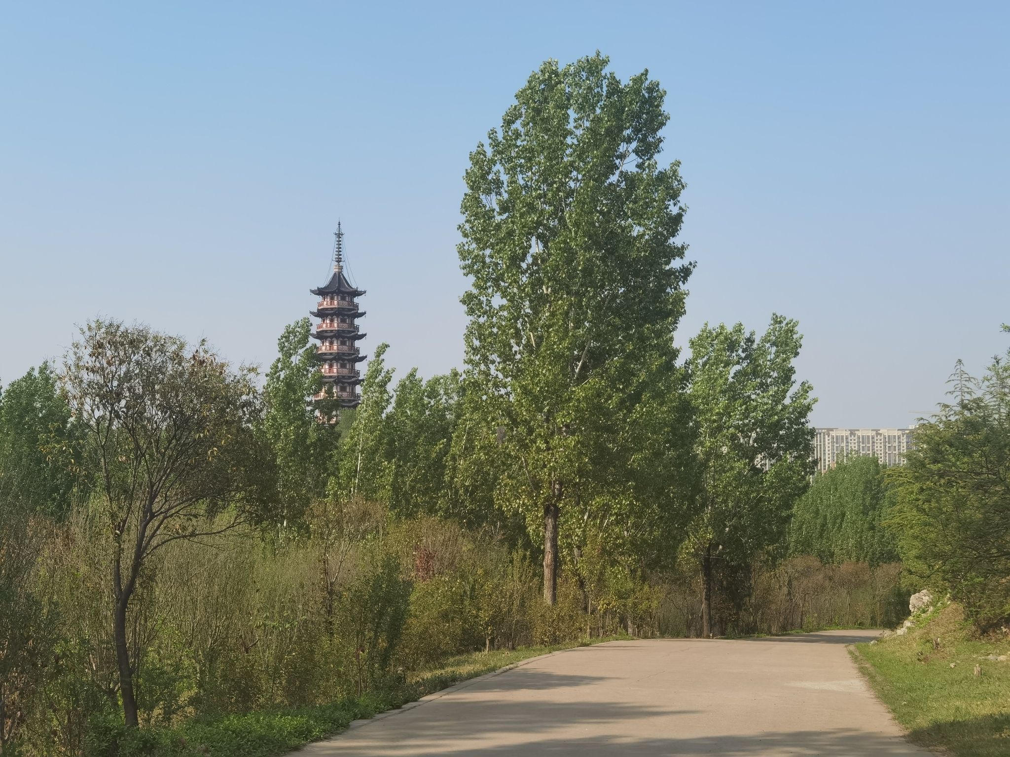 刘洪公园旅行图片 3