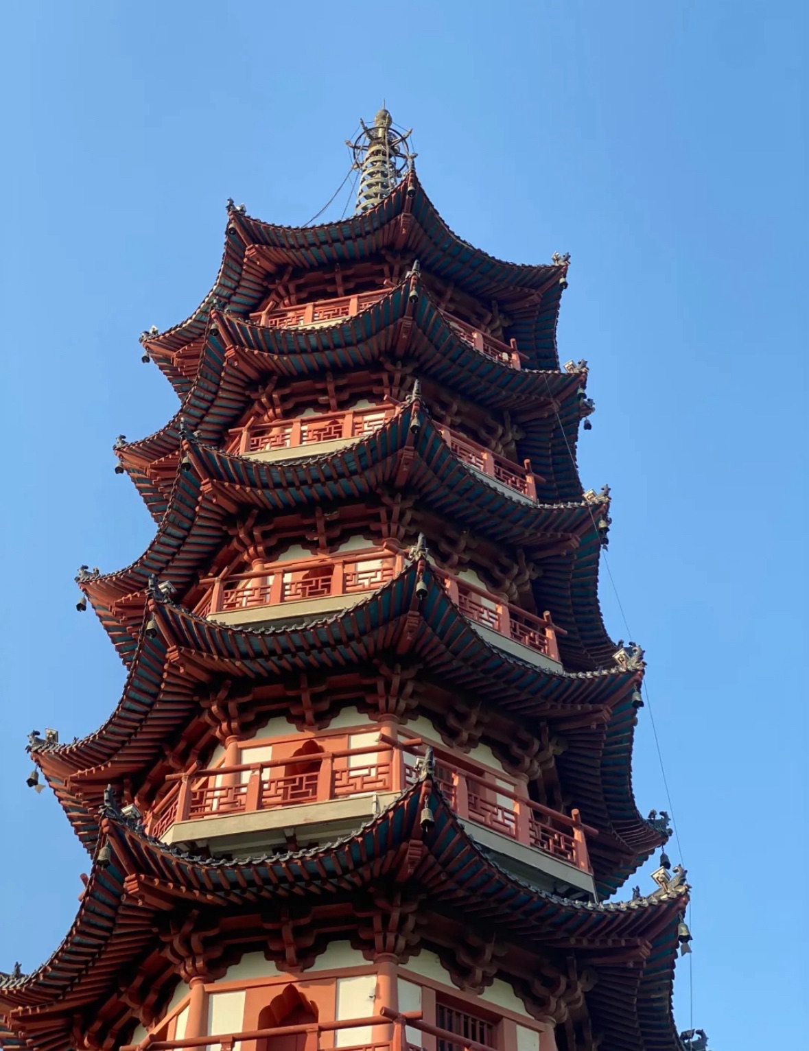 刘洪公园旅行图片 2