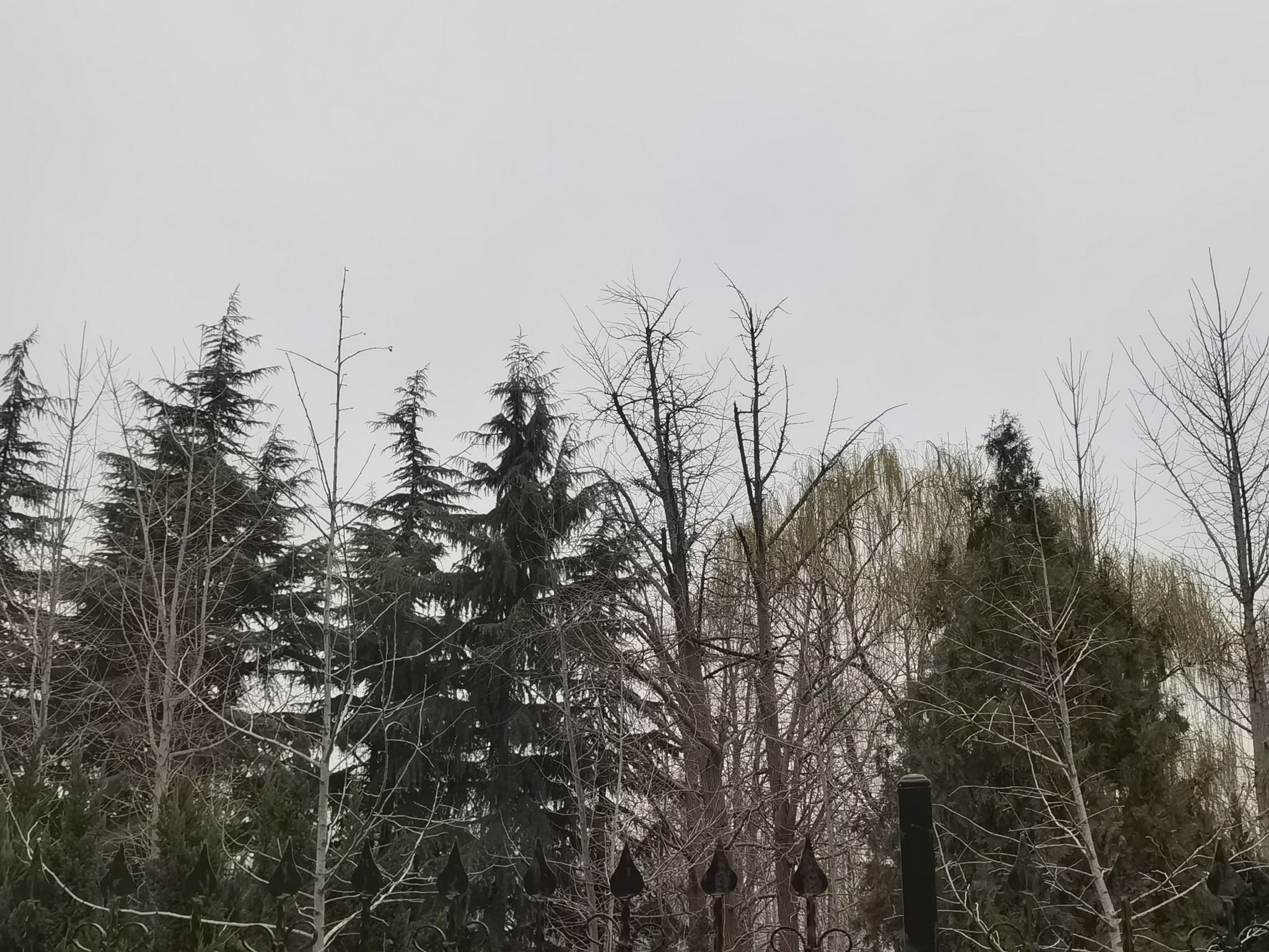 临沂市生生园旅行图片 2