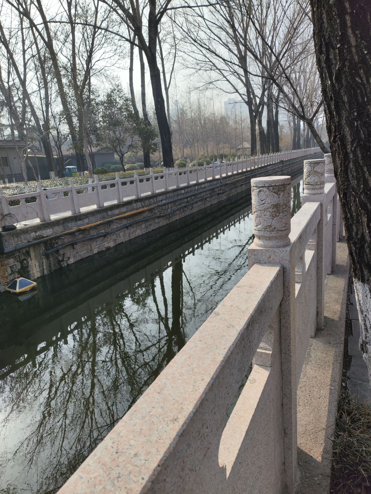 林荫广场旅行图片 2