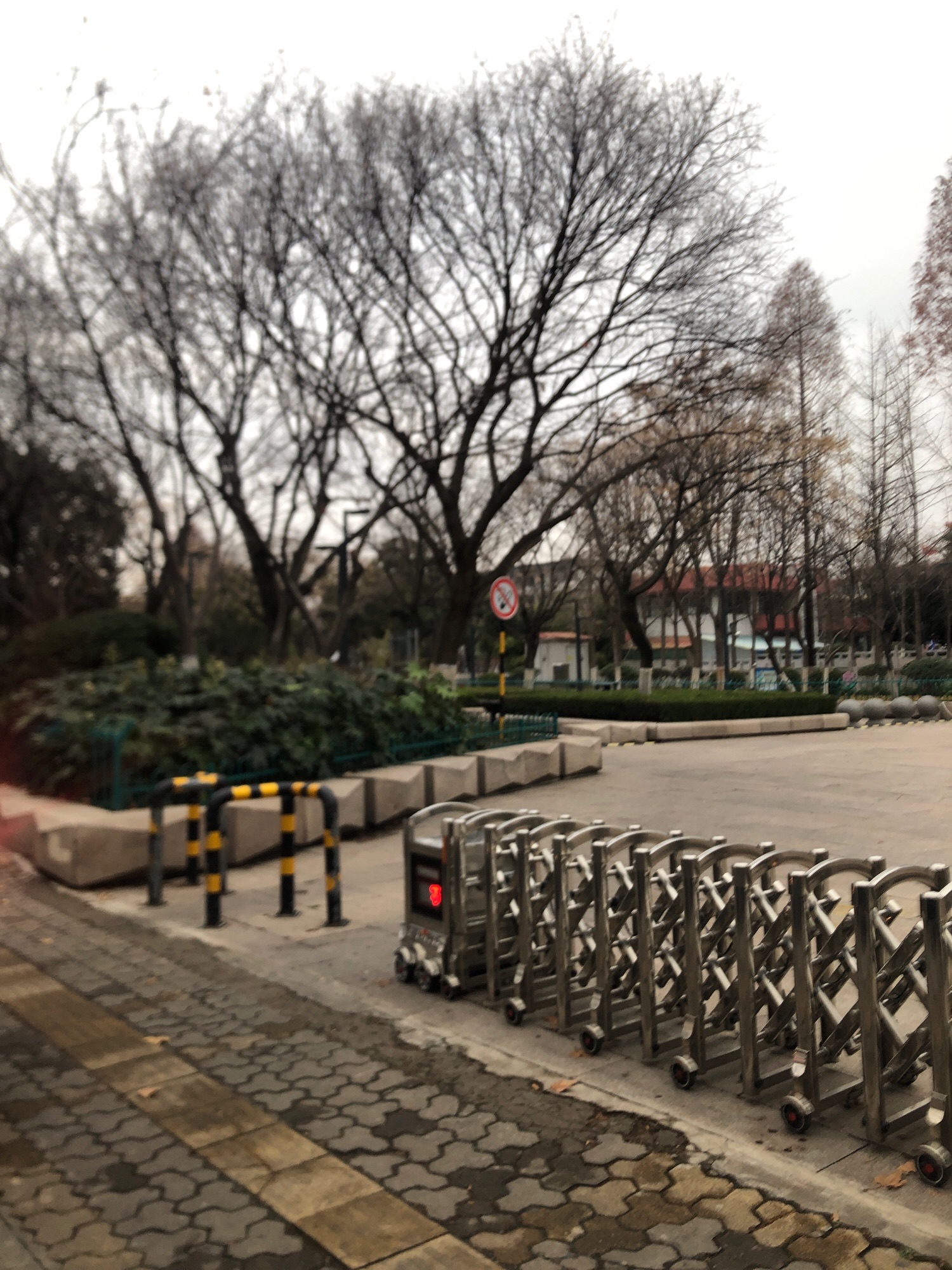 东方红广场旅行图片 3