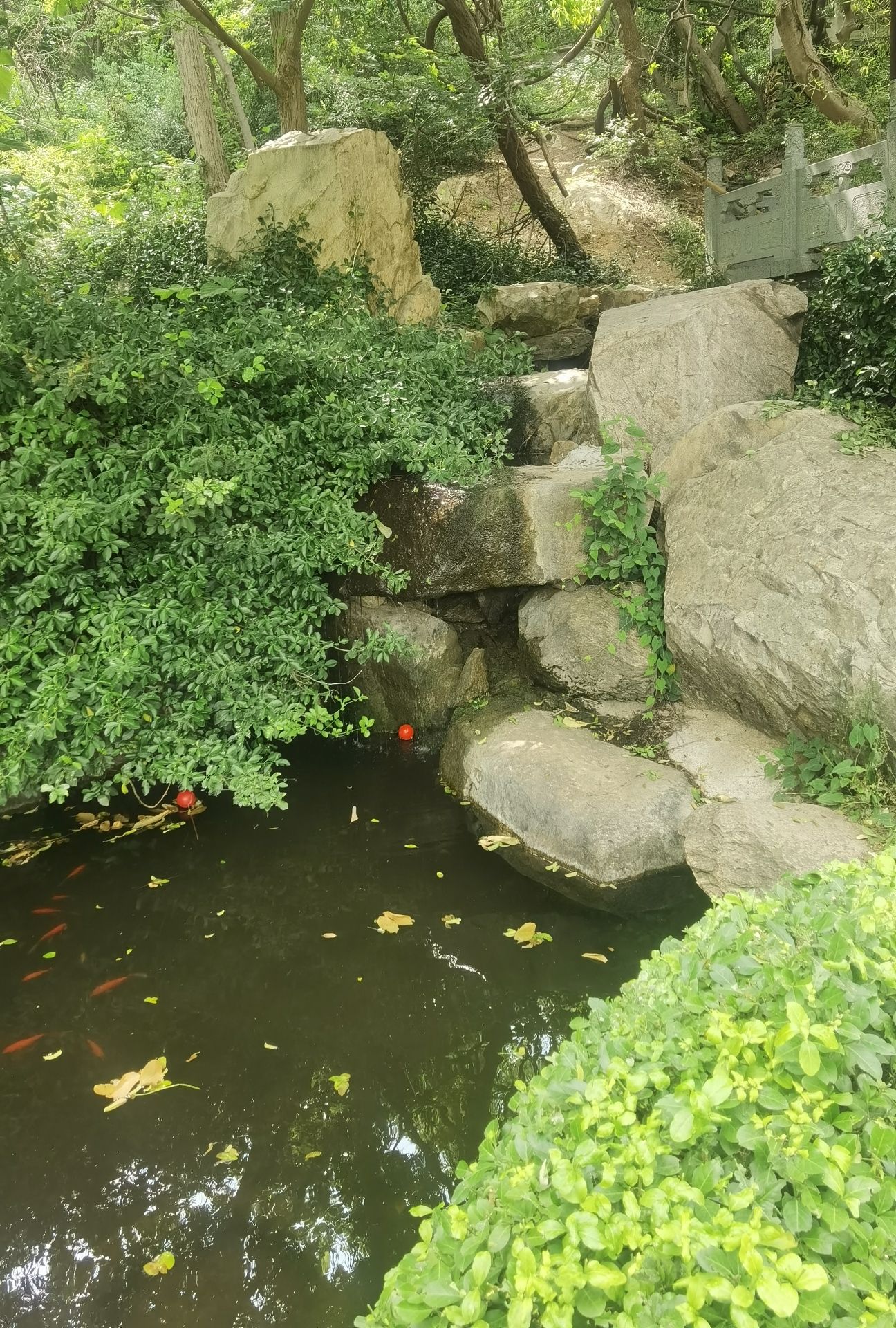 冠山风景旅游区旅行图片 3