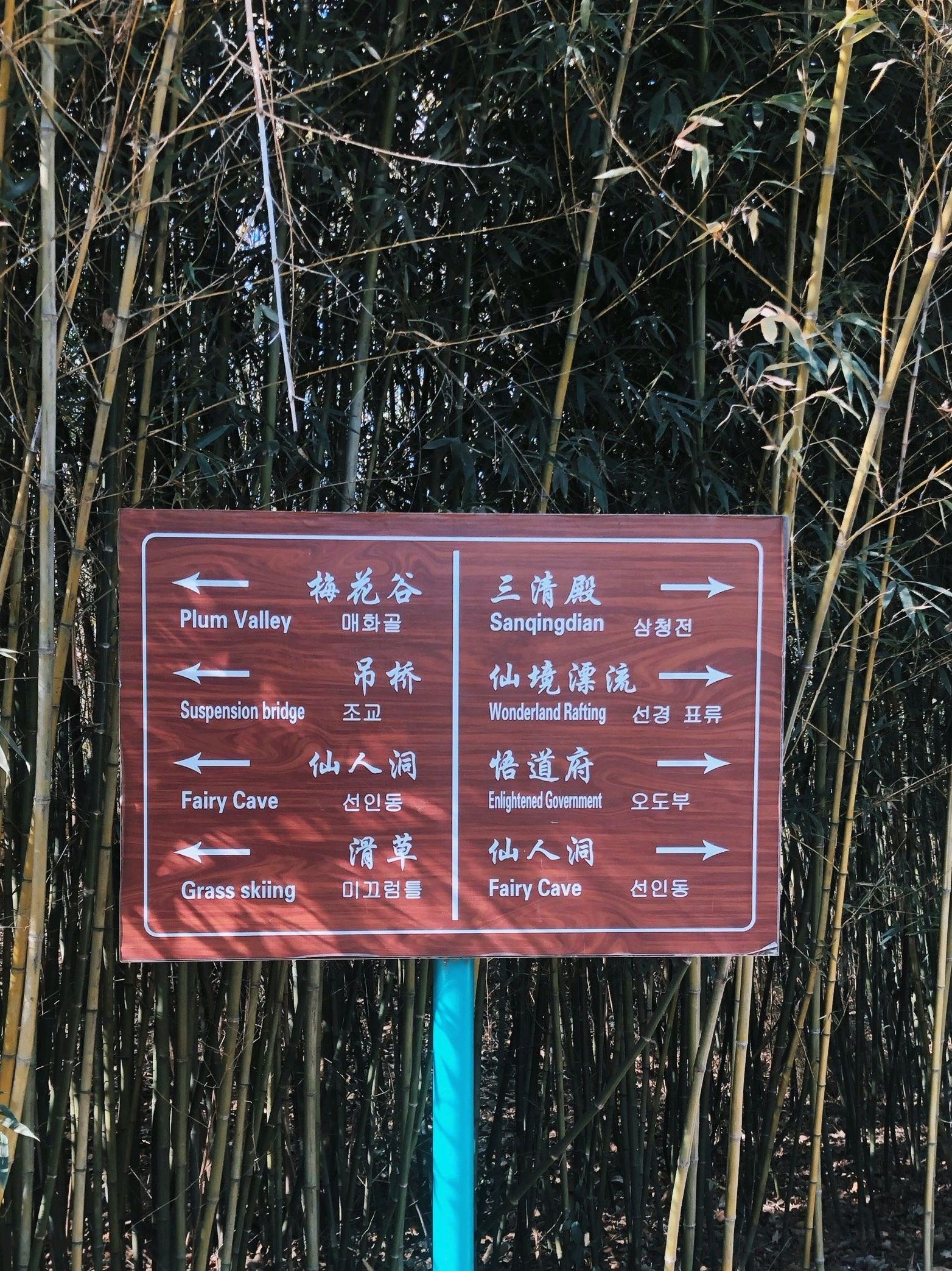 冠山风景旅游区旅行图片 1