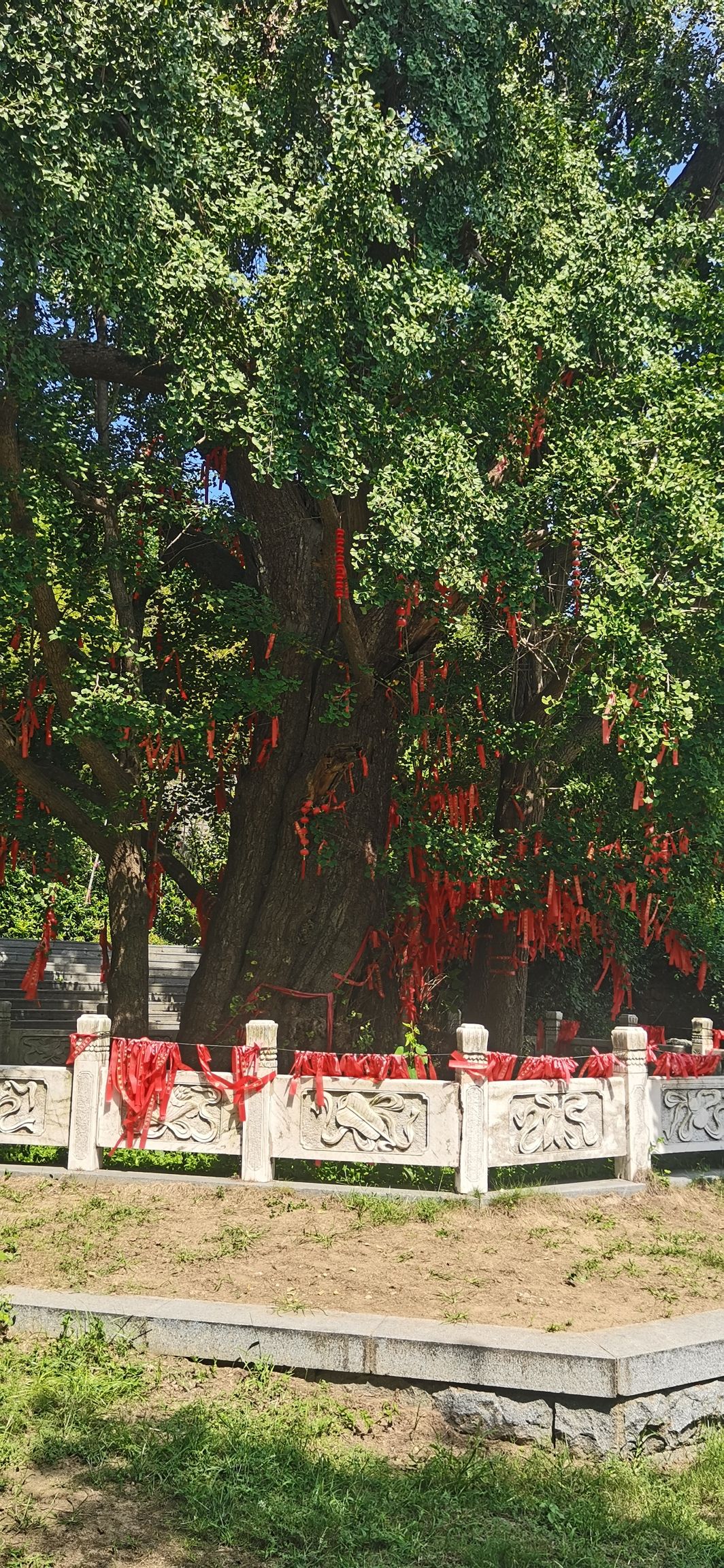 冠山风景旅游区旅行图片 3