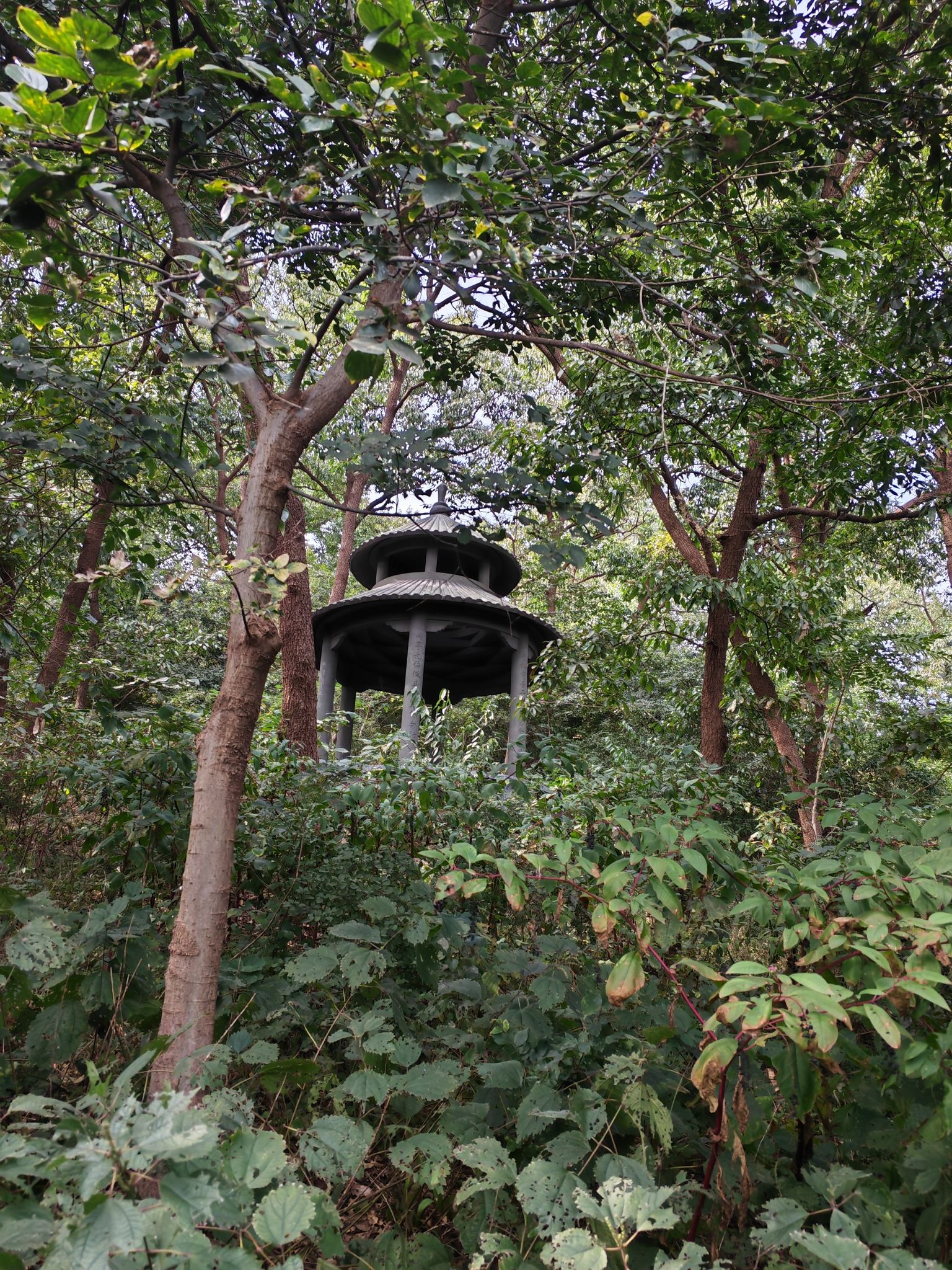 冠山风景旅游区旅行图片 1