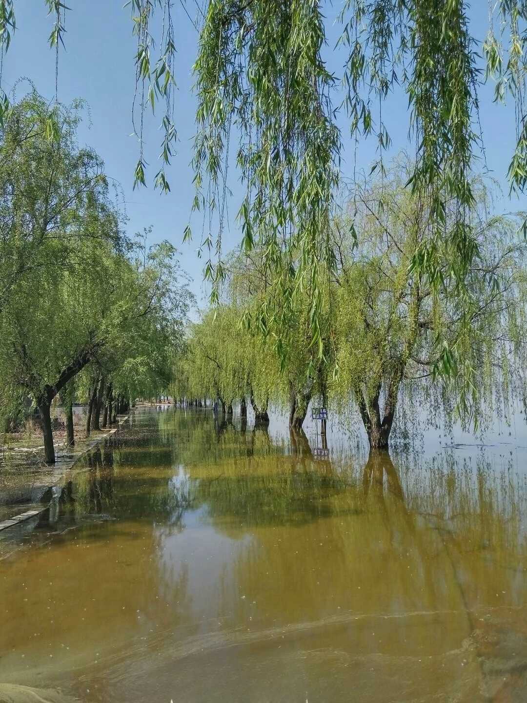 五龙湖风景区旅行图片 2