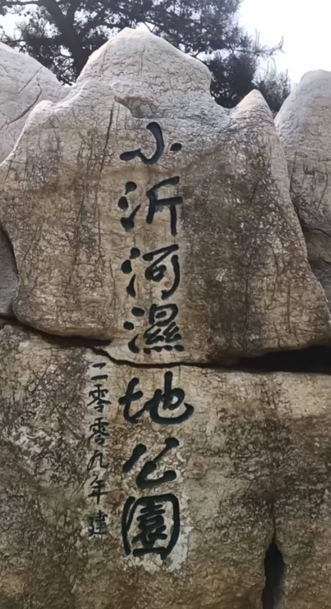 小沂河湿地公园旅行图片 3