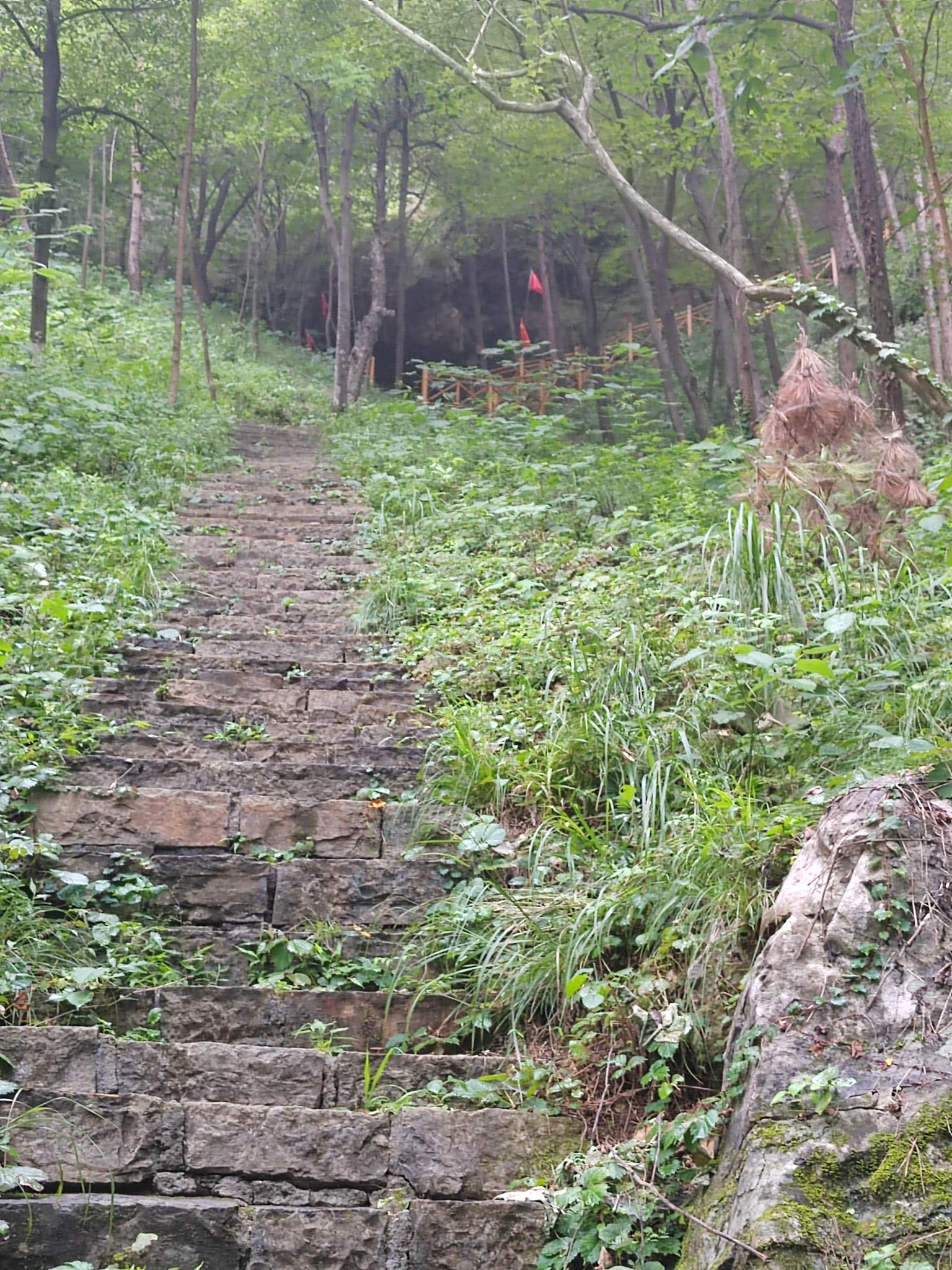 山东灵泉山旅游风景区旅行图片 1