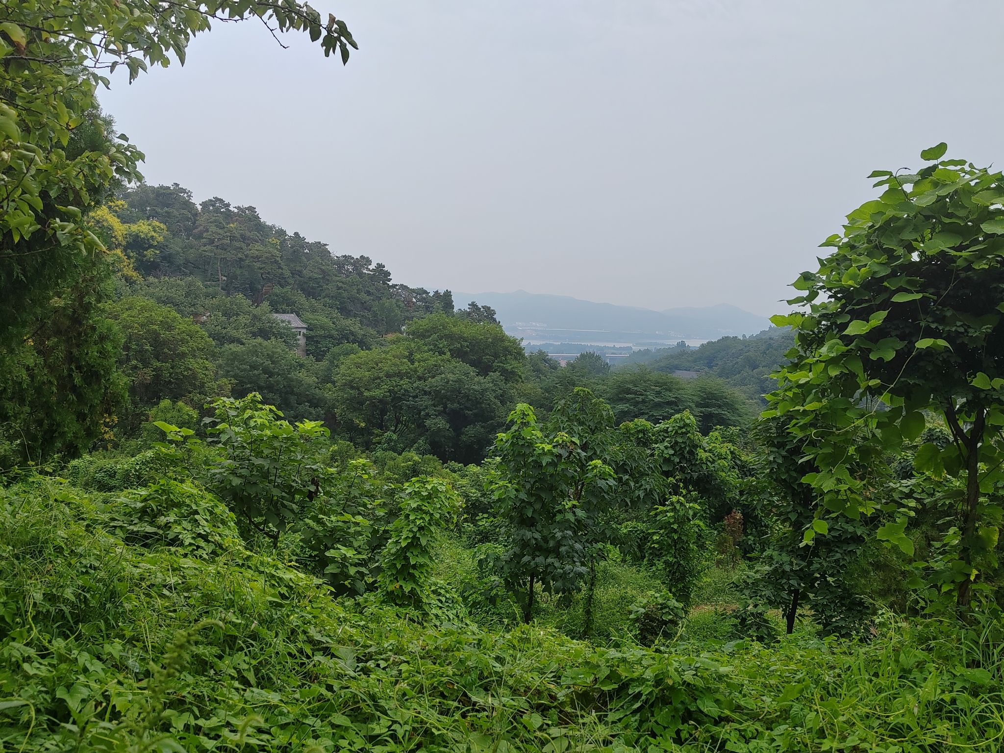山东灵泉山旅游风景区旅行图片 2