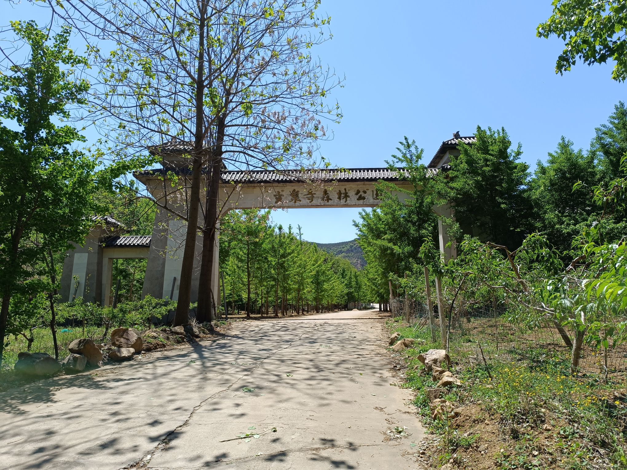 山东灵泉山旅游风景区旅行图片 1