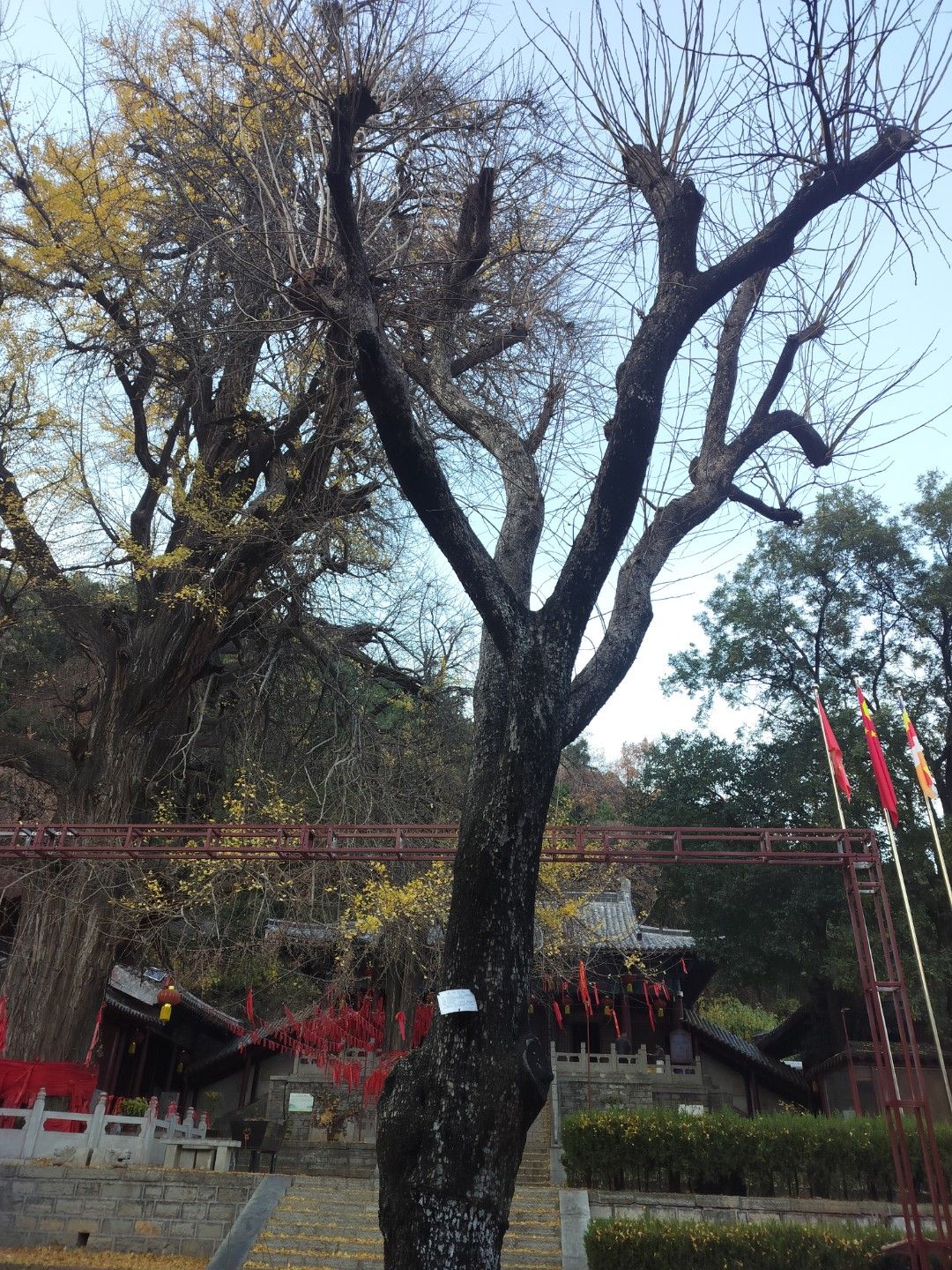 山东灵泉山旅游风景区旅行图片 1